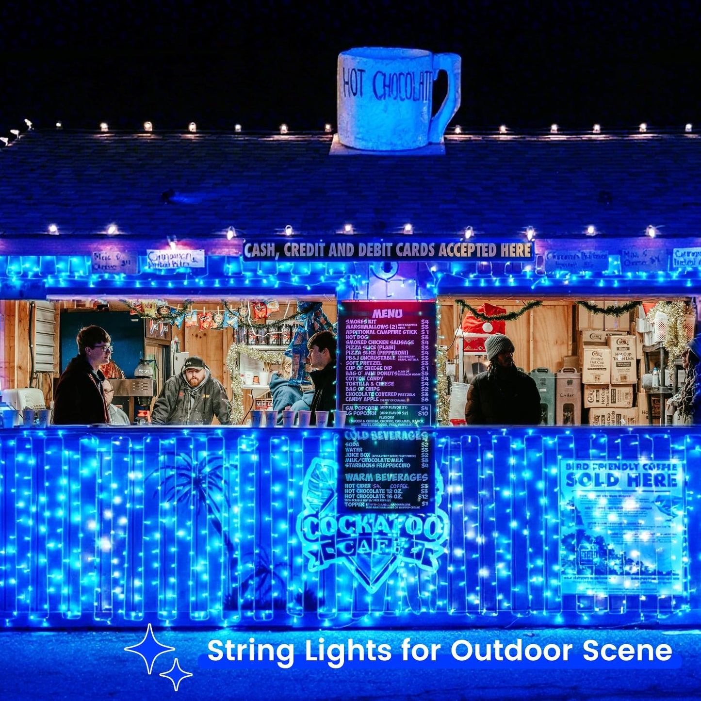 2 Pack Christmas String Lights Battery Operated With Timer  66Ft 200 Led Waterproof Twinkle Lights  8 Modes Fairy Light For Indoor And Outdoor Bedroom Garland Tree Christmas Decorations (Blue)