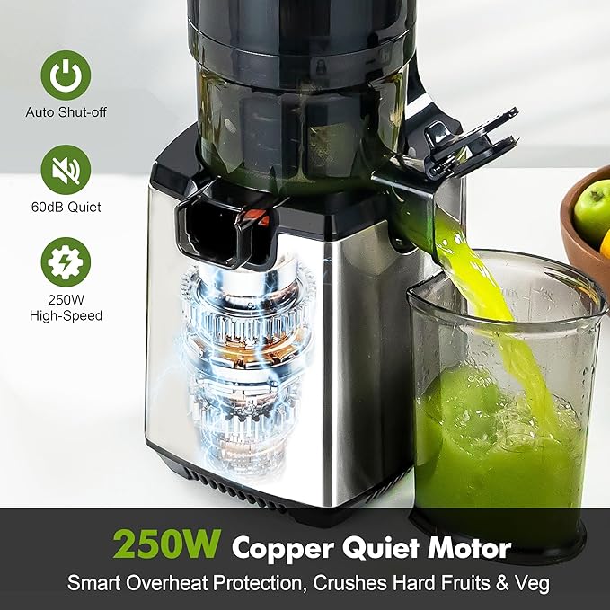Fretta Cold Press Juicer,Juicer Machines Vegetable and Fruit,Masticating Juicer with 5.3'' Large Feed Chute fit Whole Fruits,BPA-Free, Reverse Function,Durable Stainless Steel Body,250W Quiet Motor