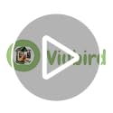 VIUBIRD Bird Feeder Pole – 104 Inch Height Bird House Pole with 1-Inch Dia Heavy Duty for Birdfeeders, Feeding Stand with ...