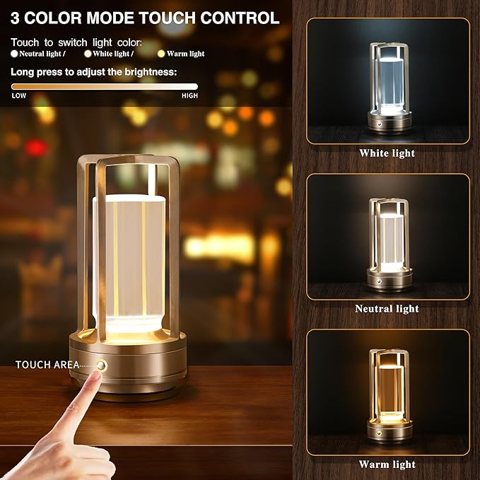 Portable Metal Table Lamp,Cordless Table Lamp, Rechargeable Battery Powered Portable LED Desk Lamp, 3 Color Stepless Dimming Touch, for Bedroom Restaurant Home Outdoor (Silver)