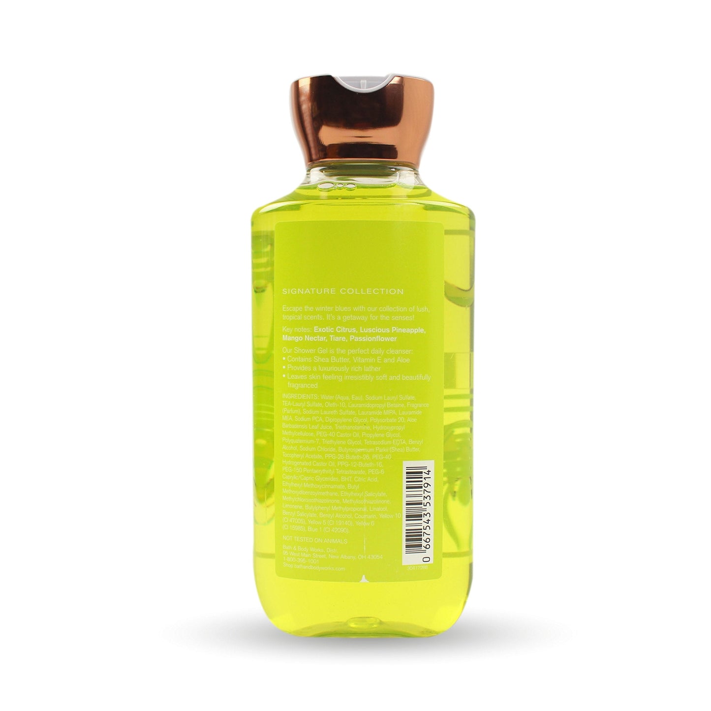 Bath and Body Works Fresh Brazil Citrus Shea and Vitamin E Shower Gel 10 Ounce 2017 Version