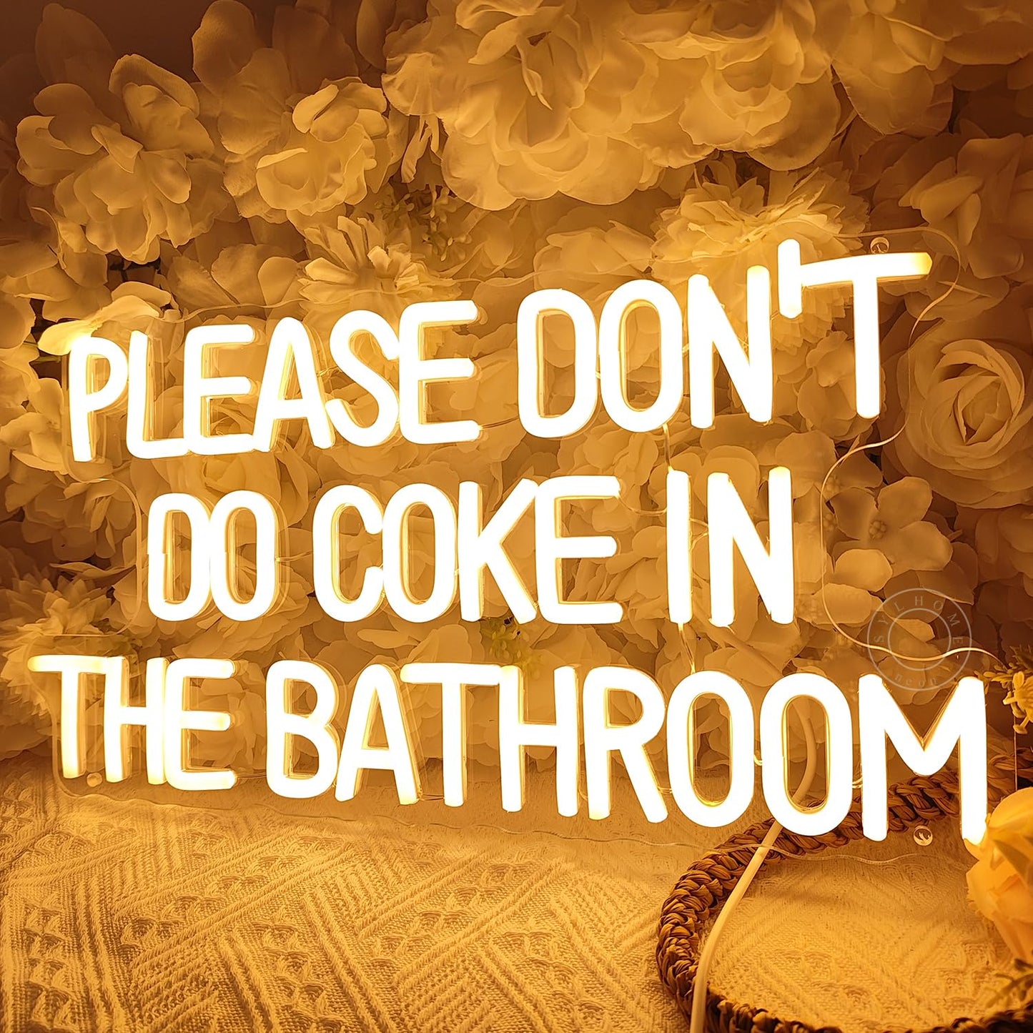 Sylhome Please DonT Do Coke In The Bathroom Game Room Bedroom Bar Store Wall Decor Sign Birthday Christmas Party Backdrop Gifts Usb 16.9X9.2 Warm