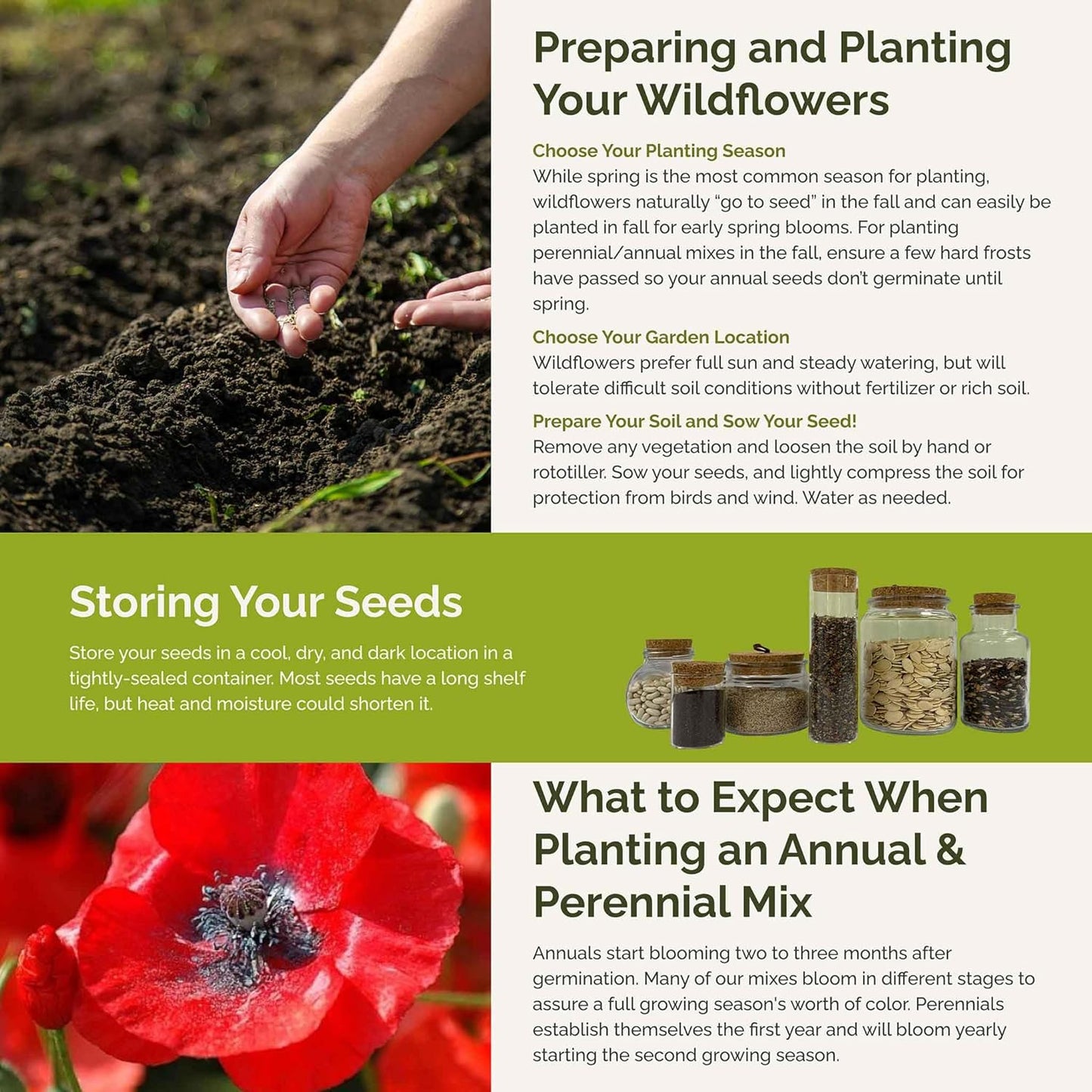 Eden Brothers Poppy Power Flower Mixed Seeds for Planting, 5 lb, 2,400,000+ Seeds with Red Corn, Iceland, California Poppy, Attracts Pollinators, Plant in Spring or Fall, Zones 3, 4, 5, 6, 7, 8, 9, 10