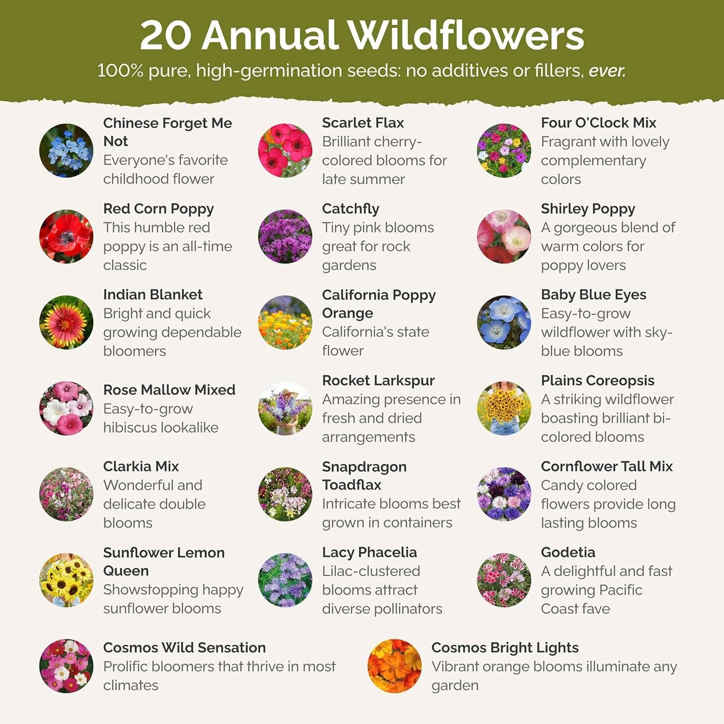 Eden Brothers All Annual Wildflower Mixed Seeds for Planting, 5 lb, 2,400,000+ Seeds with Sunflower, Indian Blanket, Scarlet Flax | Attracts Pollinators, Plant in Spring, Zones 3, 4, 5, 6, 7, 8, 9, 10