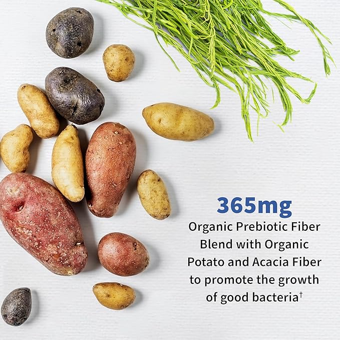 Garden of Life Men's Probiotics 50 Billion CFU + Vitamin Code Vitamin C 500mg 120 Capsules Bundle