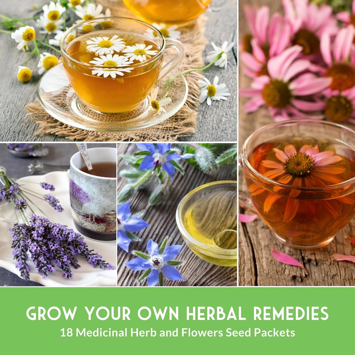 Medicinal Herb Seeds for Planting | 18 Seed Variety Pack of Heirloom, Non-GMO Herbs – Herbal Teas, Tinctures & Home Apothecary Garden Kit – Survival Garden Seeds