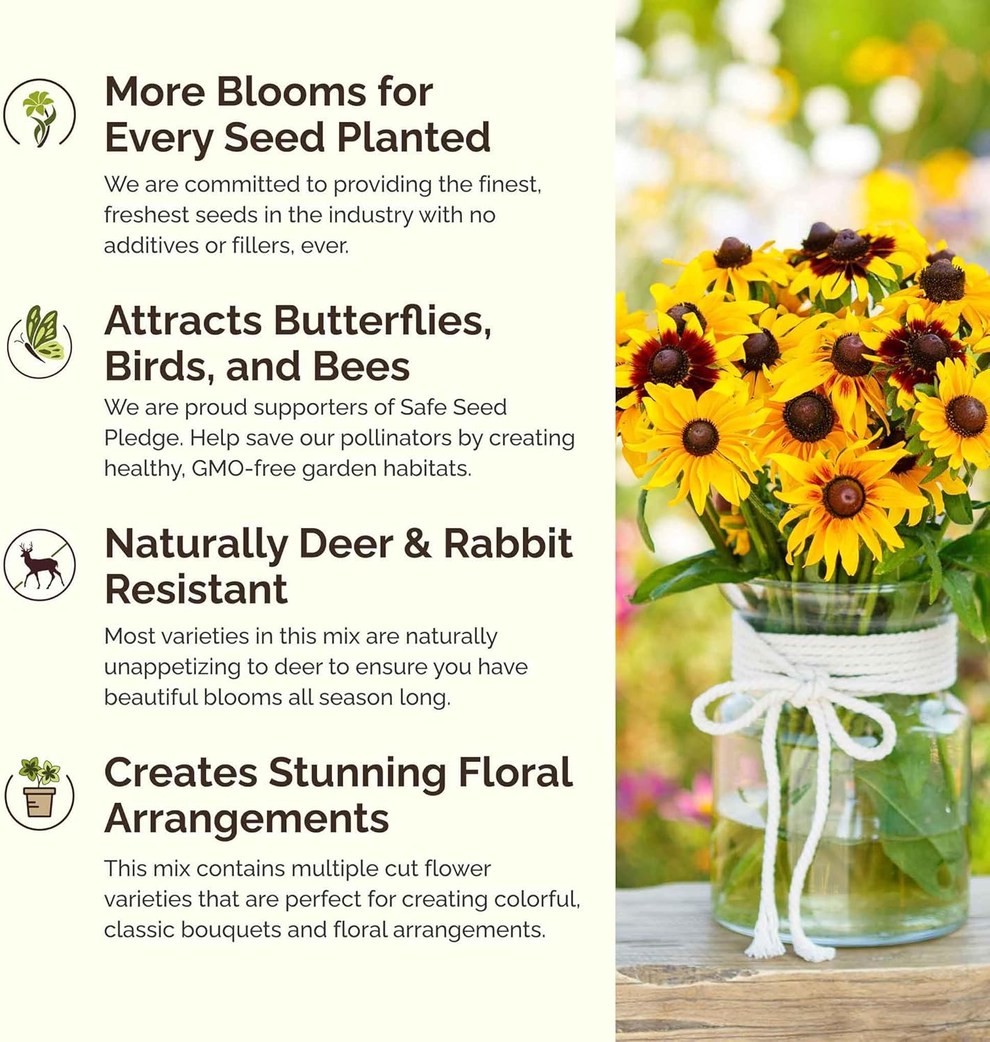 Eden Brothers Daisy Crazy Flower Mixed Seeds for Planting, 5 lb, 2,400,000+ Seeds with Creeping, Painted, Yellow Daisy | Attracts Pollinators, Plant in Spring or Fall, Zones 3, 4, 5, 6, 7, 8, 9, 10