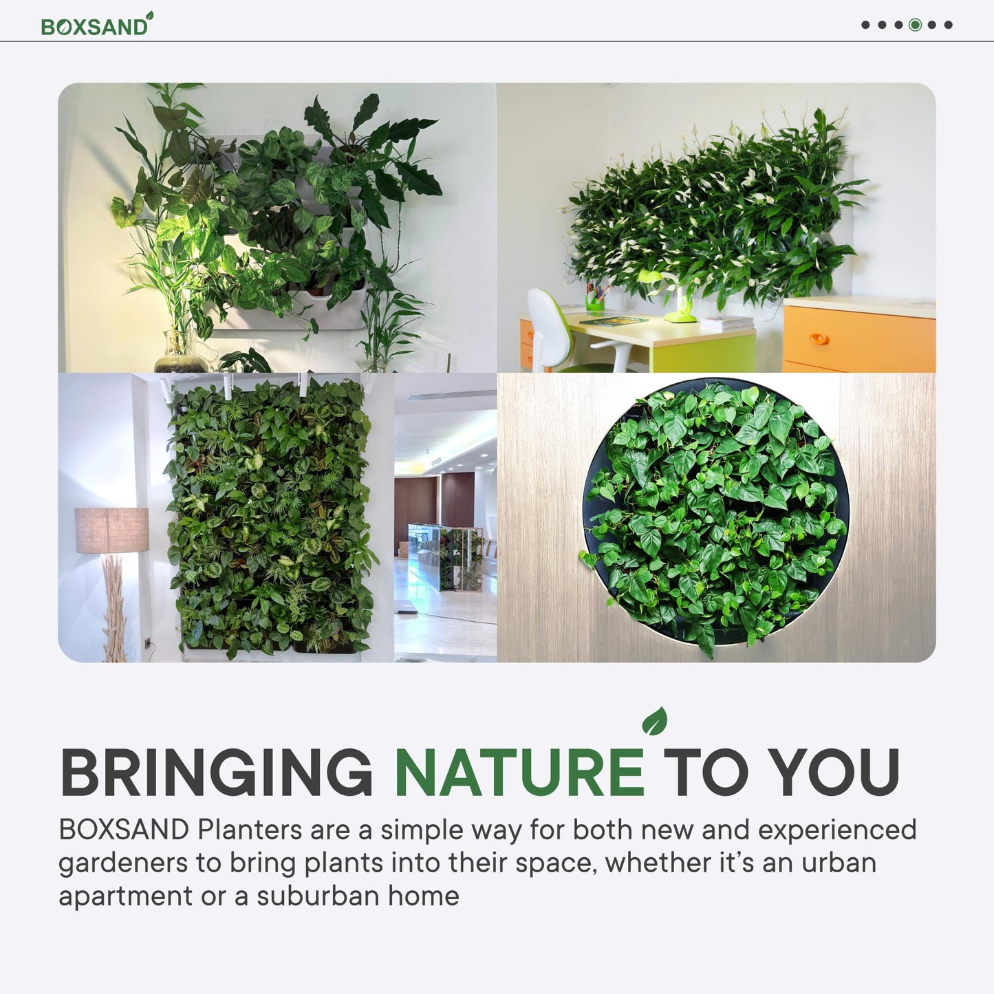 BOXSAND-24 Vertical Wall Planter (24"x50", Black with Round Pots) – Living Wall for 24 Plants, Indoor/Outdoor Vertical Garden System, Easy 4-Screw Install