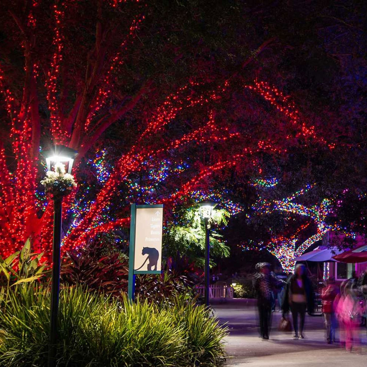 TW SHINE Red Christmas Lights, 400 LED Outdoor String Lights, 132FT, Waterproof, 8 Modes, Model HB-200COI