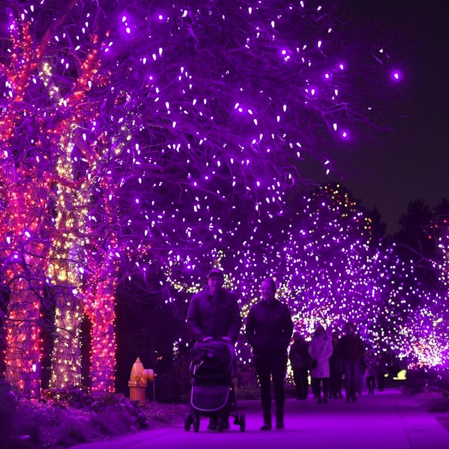 Dazzle Bright 300 LED String Lights, 100FT, Purple, 8 Lighting Modes, Connectable Halloween Decorations, Model HB-300COI