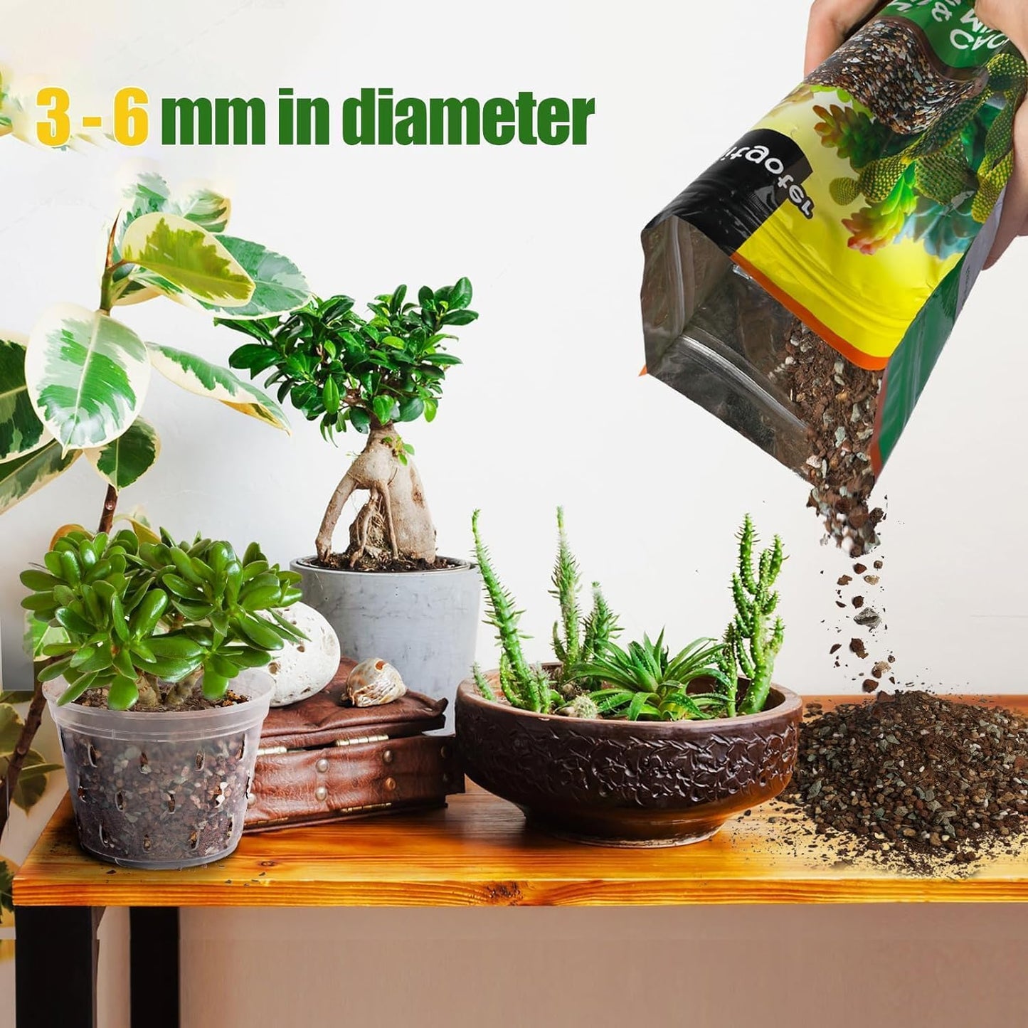 Succulent & Cactus Soil Potting Mix 2qt, Natural Organic Potting Mix for Cactus, Succulent, Palm, and Citrus Grown in Containers Indoors and Outdoors