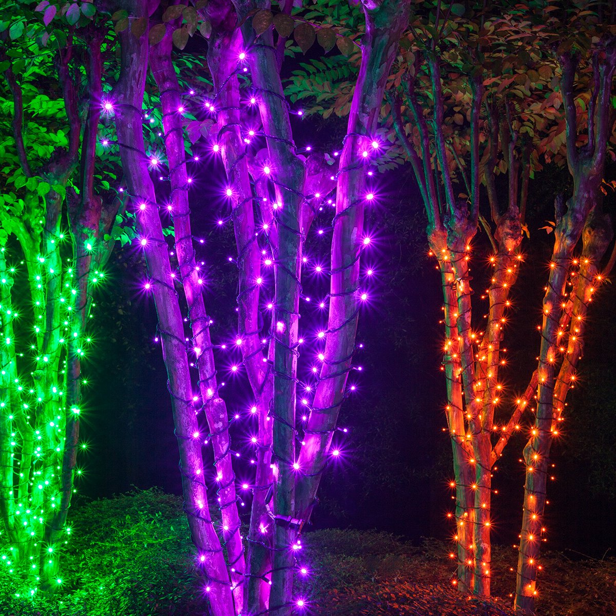 Wintergreen Lighting LED Mini Light Set, 70 Purple Lights, 24 ft, Indoor/Outdoor, 120V UL Certified, Model IOS-2-35-2
