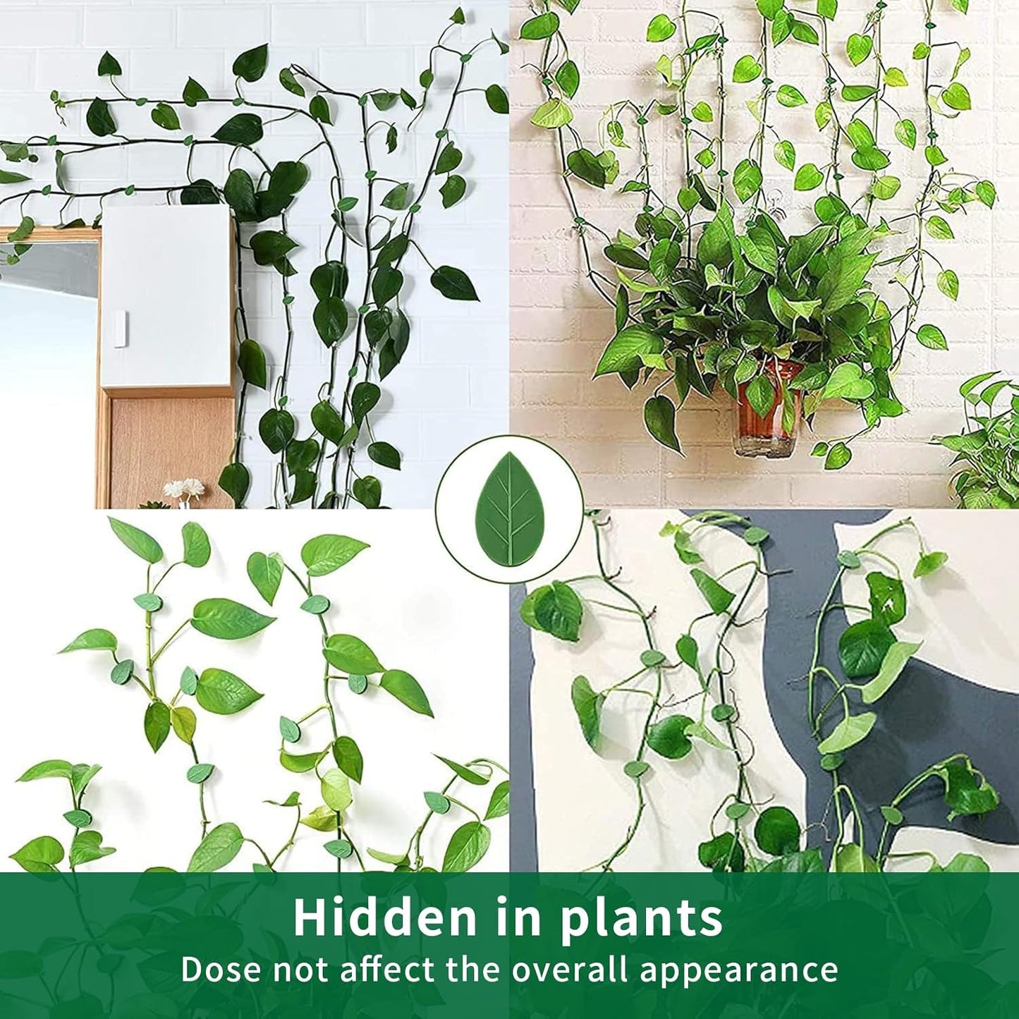 60 pcs Plant Wall Clips with 72 Pieces Acrylic Adhesive Sticker,Plant Climbing Wall Fixture Clips Plant Fixer Invisible Wall Vines Fixing Clips Self-Adhesive Hook Plant Clips Plant Vine Traction