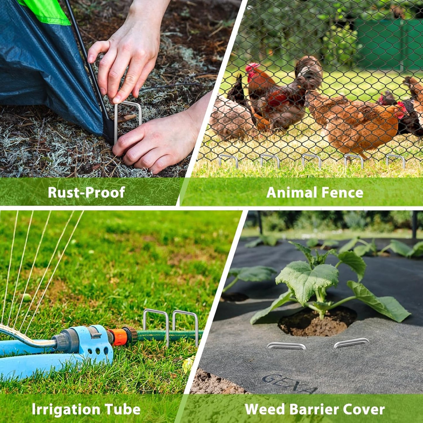 Landscape Staples 8 Inch, 12 Pack 8 Gauge Galvanized Garden Staples U-Shaped Landscape Stakes, Heavy Duty Ground Stakes for Outdoor Decorations, Weed Barrier Fabric, Irigation Tubing, Tent