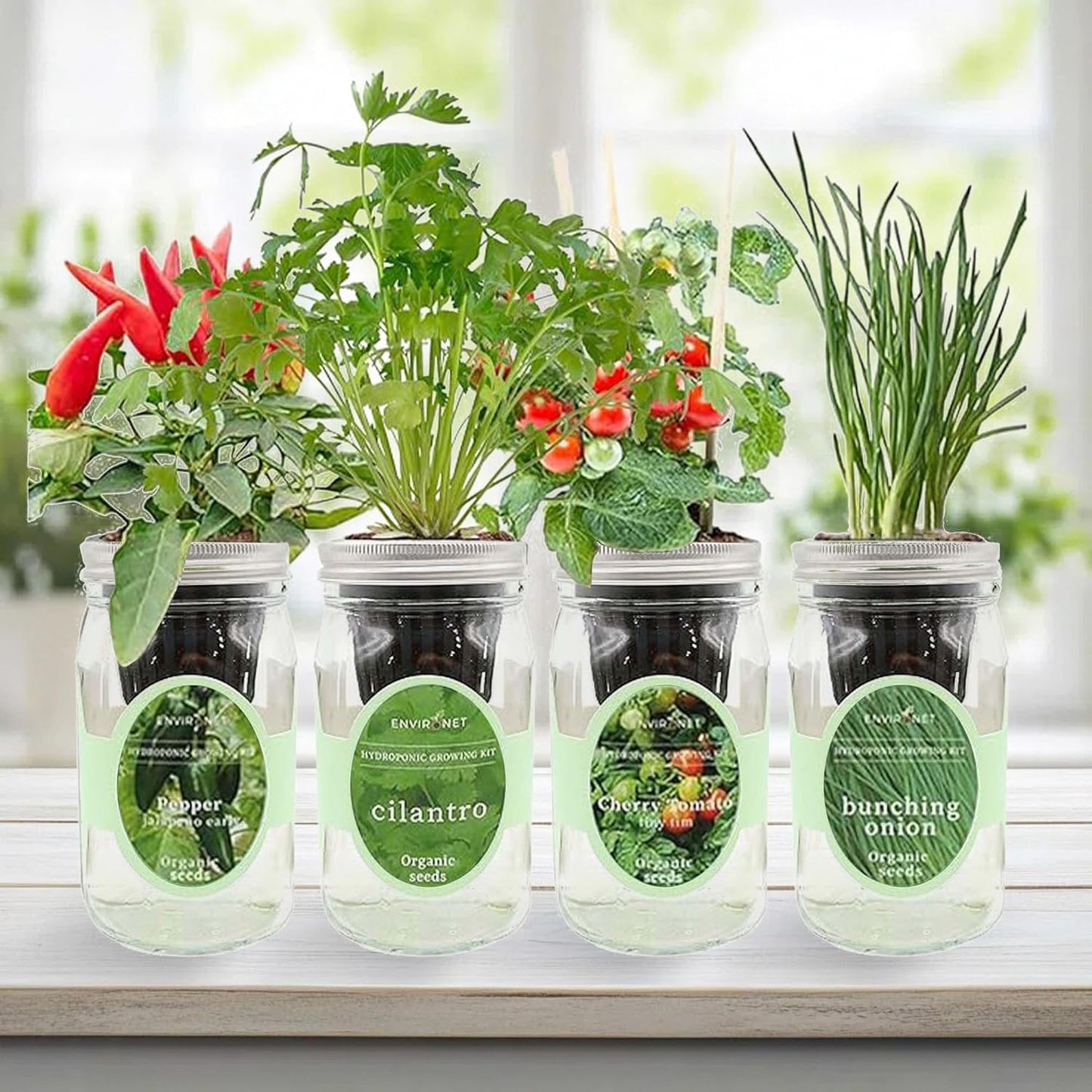 Hydroponic Mason Jar Indoor Garden Organic Seed Starter Kits - Zesty Salsa Growing Kits, Gardening Gift (Jalapeno Pepper, Cilantro, Cherry Tomato - Tiny Tim, Bunching Onion)