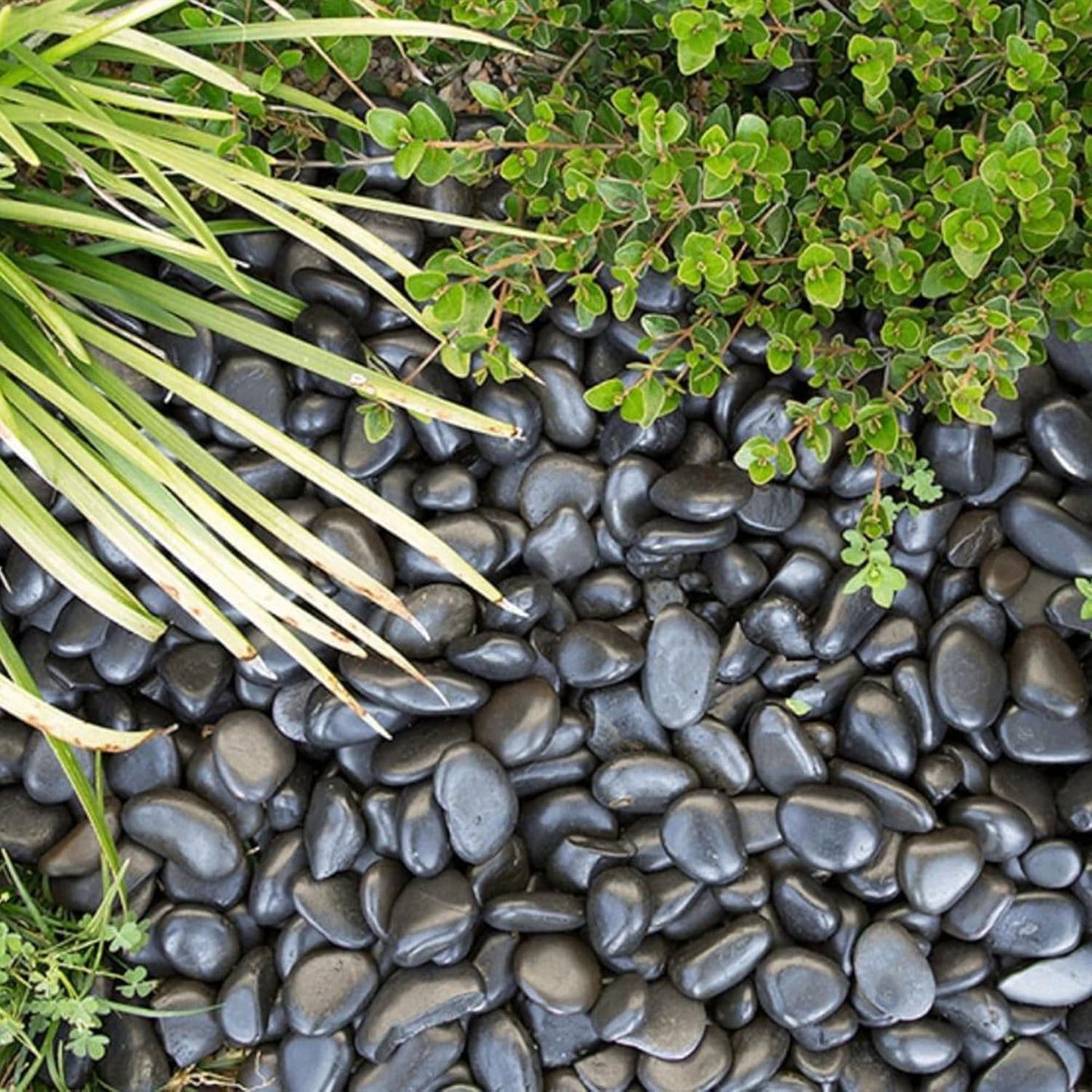 Large Pebbles for Landscaping 40lbs, 2-3 Inch Black River Rocks for Aquarium, High Polished Natural Decorative Stones for Vase Filler Fish Tank Gardening