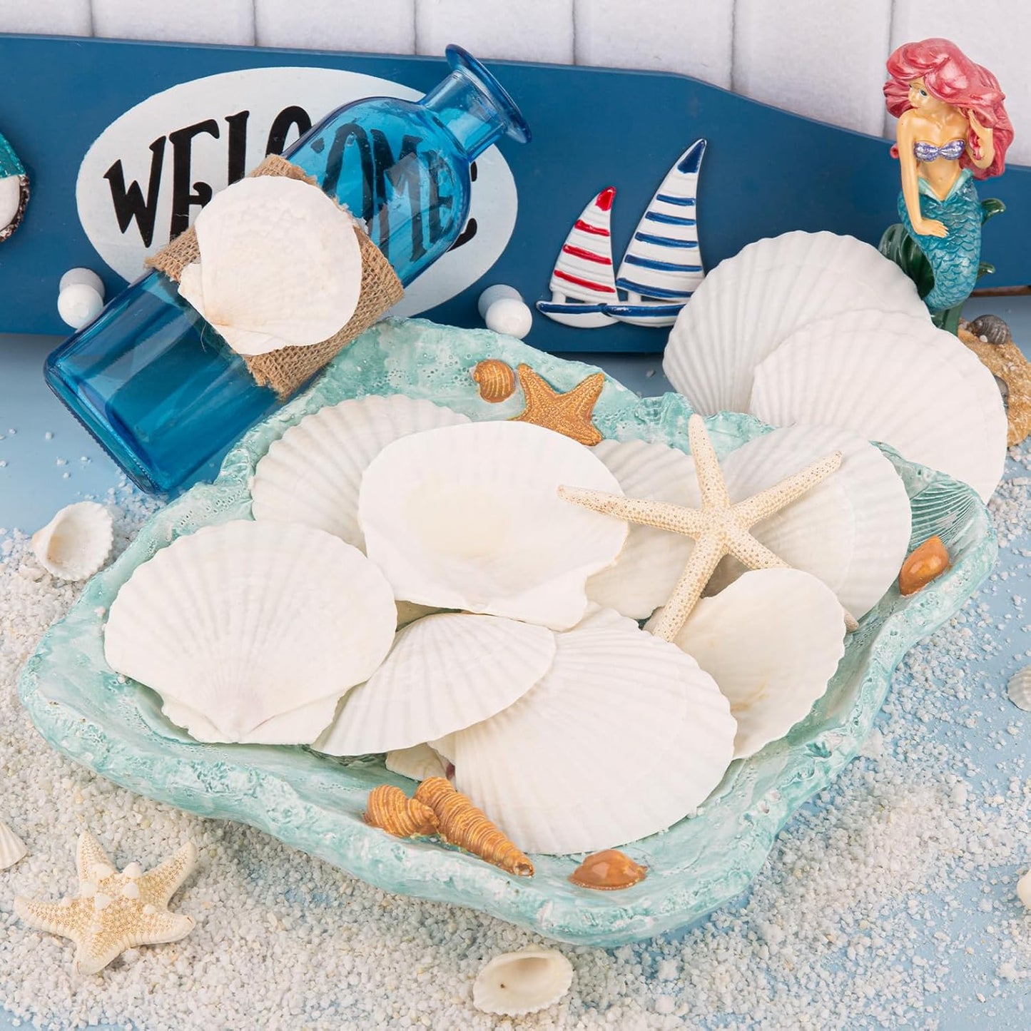 LUCKY BABY 16pcs Scallop Shells White Natural Sea Shells for Crafts 2.7-3.5 Inches Seashells for DIY Crafting Beach Wedding Home Decoration Baking (Pack of 2)