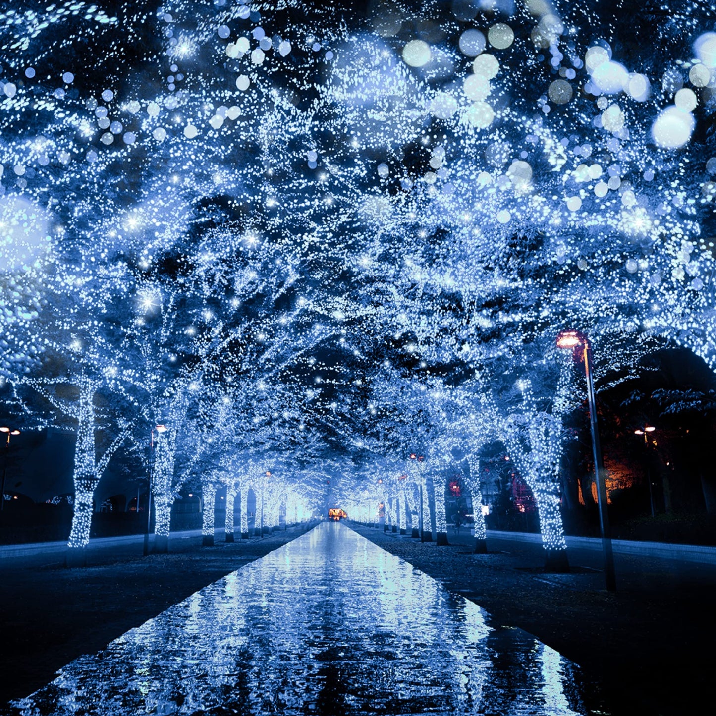FUNPENY LED Christmas String Lights, 500 LED, 164FT, 8 Modes, Waterproof, Green Wire, White