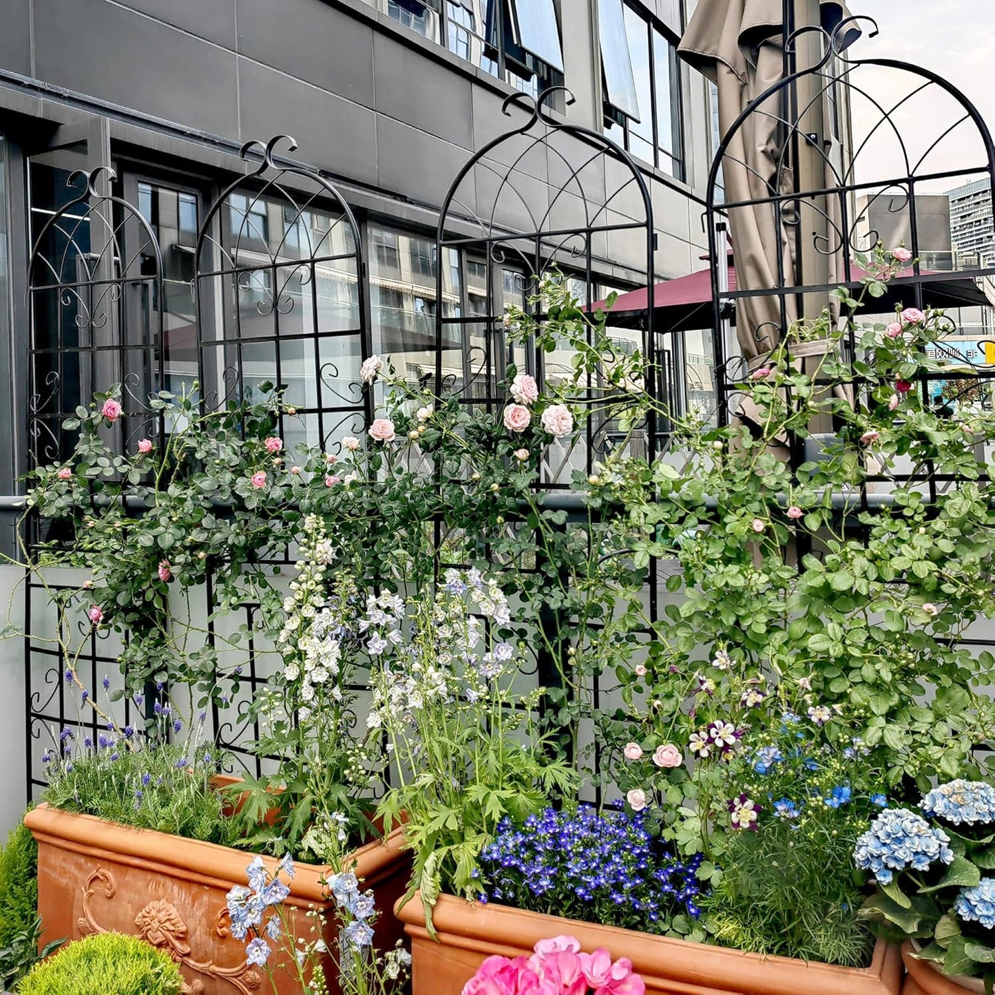 4 Pack Metal Garden Trellis for Climbing Plants, 71" Tall Rustproof Outdoor Trellis Panel with Vine Design, Decorative Black Iron Plant Support for Vine, Rose, Flower, Garden Wall