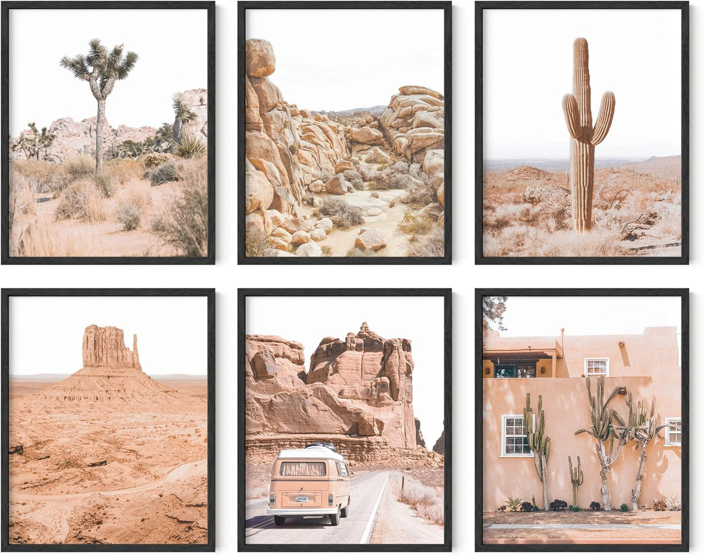 HAUS AND HUES Cactus Set of 6 16x20 - Framed Black