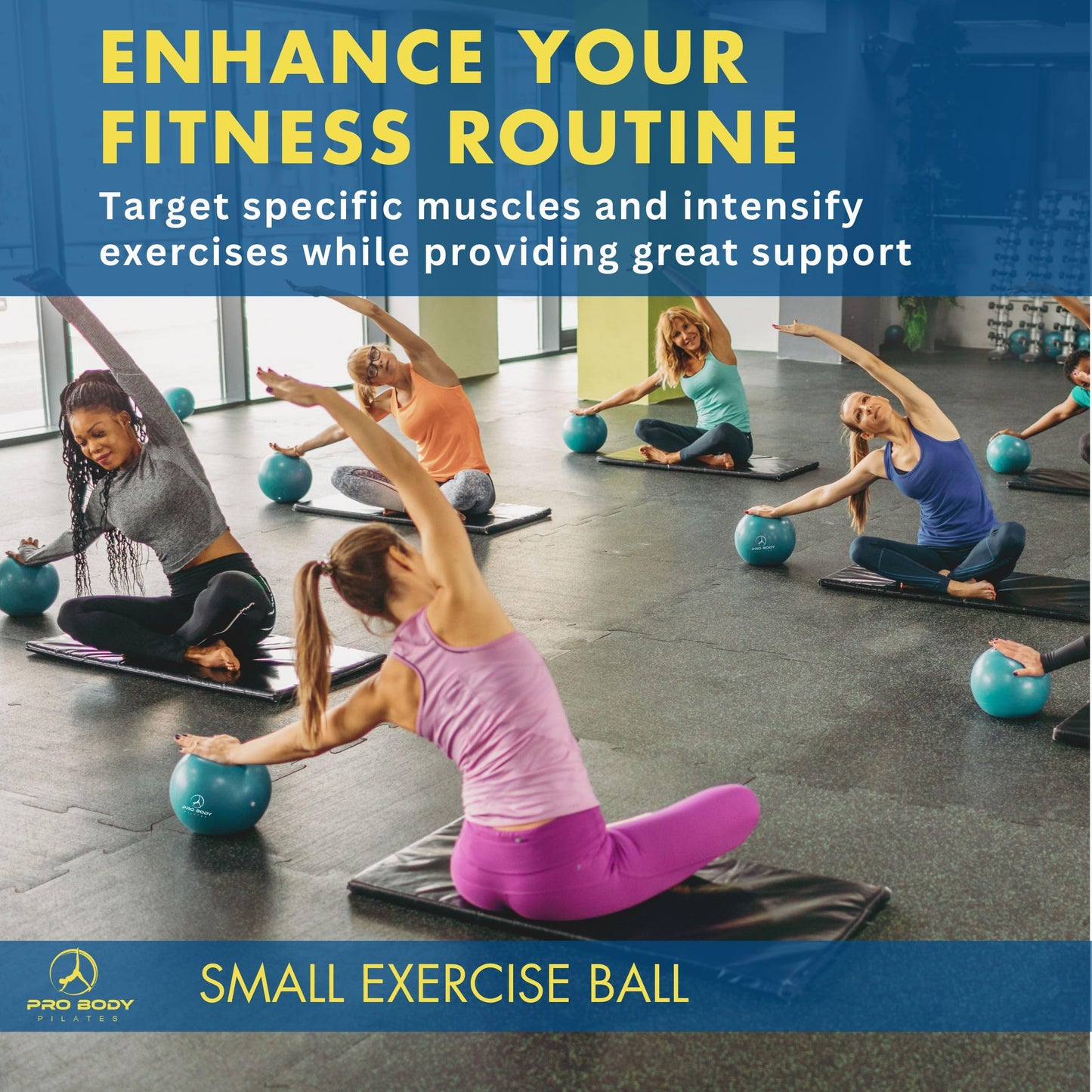 ProBody Pilates Small Exercise Ball - 9 Inch Workout Ball for Stability, Barre, Yoga, Core & Physical Therapy, Home Gym & Office Use (Pink)