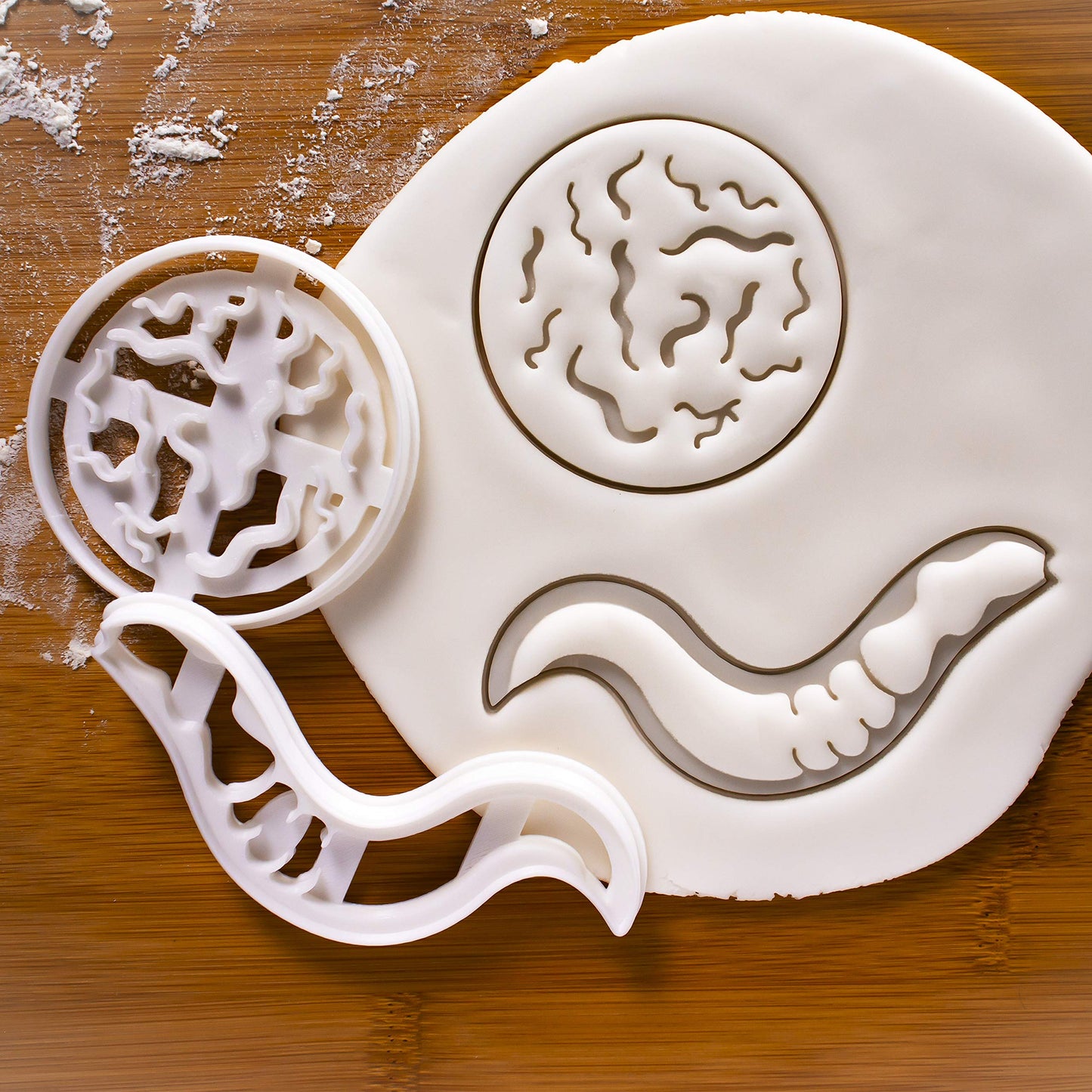 Set of 2 C. Elegans (Caenorhabditis Elegans) cookie cutters, 2 pieces - Bakerlogy