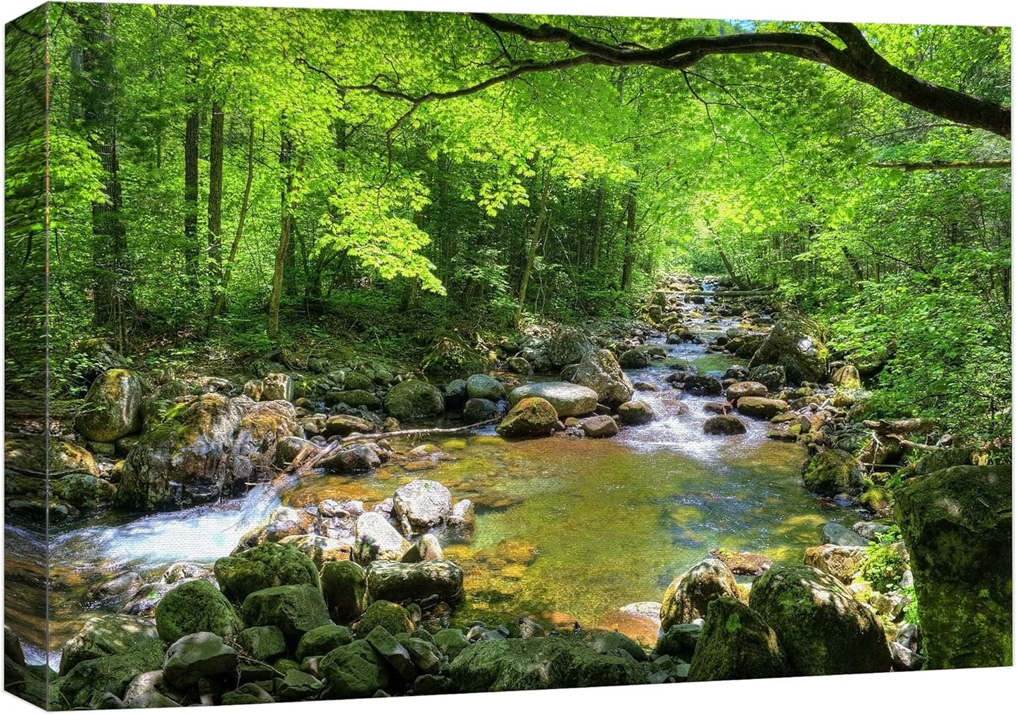 wall26 Canvas Print Wall Art River Through The Green Forest Nature Wilderness Photography Modern Art Rustic Scenic Colorful Multicolor for Living Room, Bedroom, Office - 24"x36"
