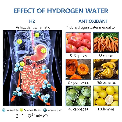 H2 Rich Hydrogen Generator Glass Water Thermos Bottle | Portable Ionizer Machine with Quick Electrolysis | 420ml Capacity, SPE/PEM Technology | Ideal for Home, Travel, Exercise, and Gifting