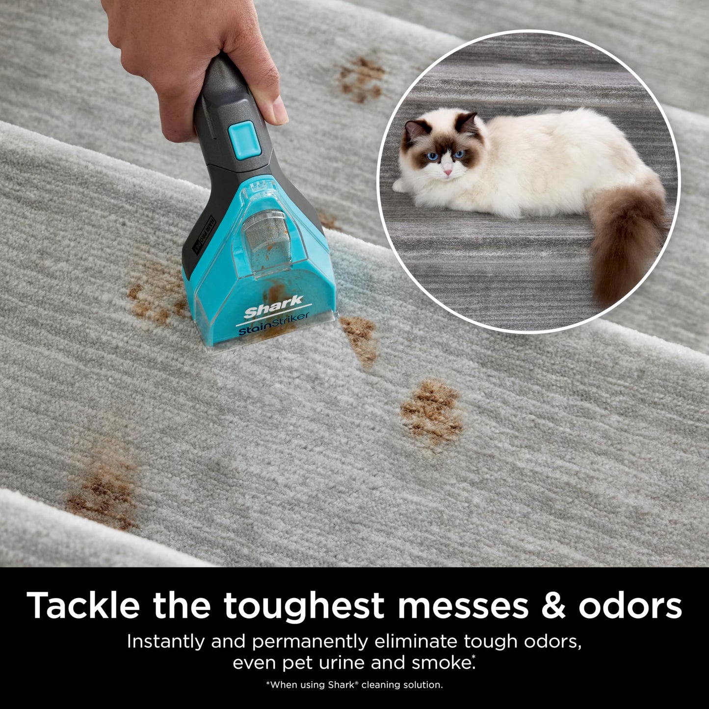 Shark StainStriker OXY Multiplier Formula for Shark Upright & Portable Carpet Cleaners, Formulated for All Carpets, Upholstery & Area Rugs, Instantly Eliminates Odors, 32oz, XSKEXOX32B
