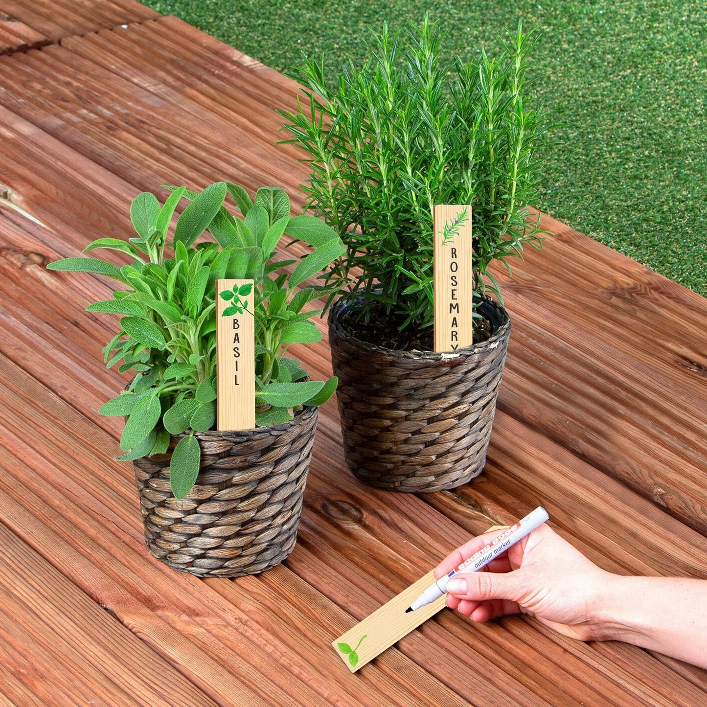 Huray Rayho 12PCS Wooden Indoor Herb Plant Labels Signs - Assorted Indoor Garden Stakes - Re-Usable Plant Tags