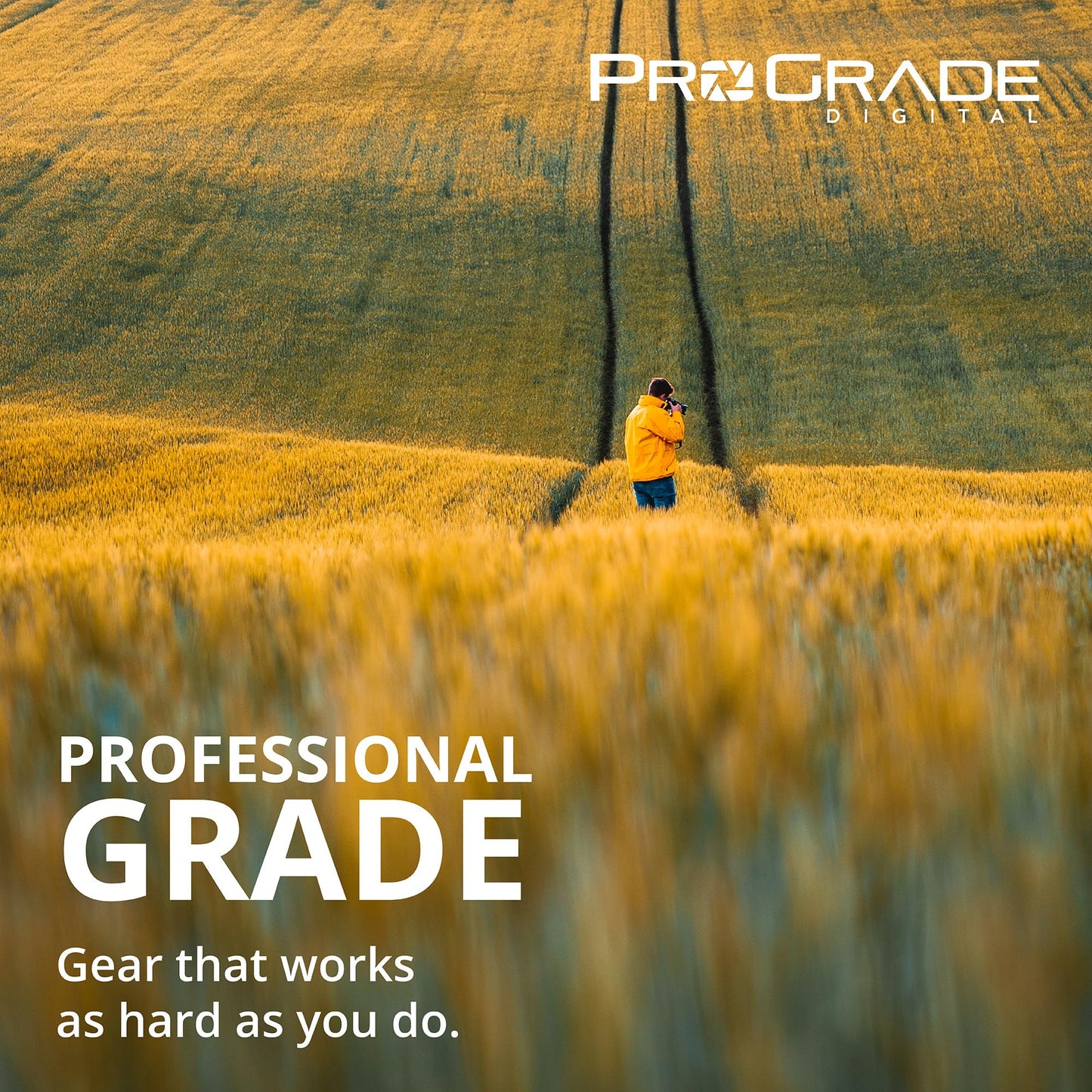Cfexpress Type B Single-Slot Memory Card Reader By Prograde Digital | Usb 4.0 For Professional Filmmakers, Photographers, Conten