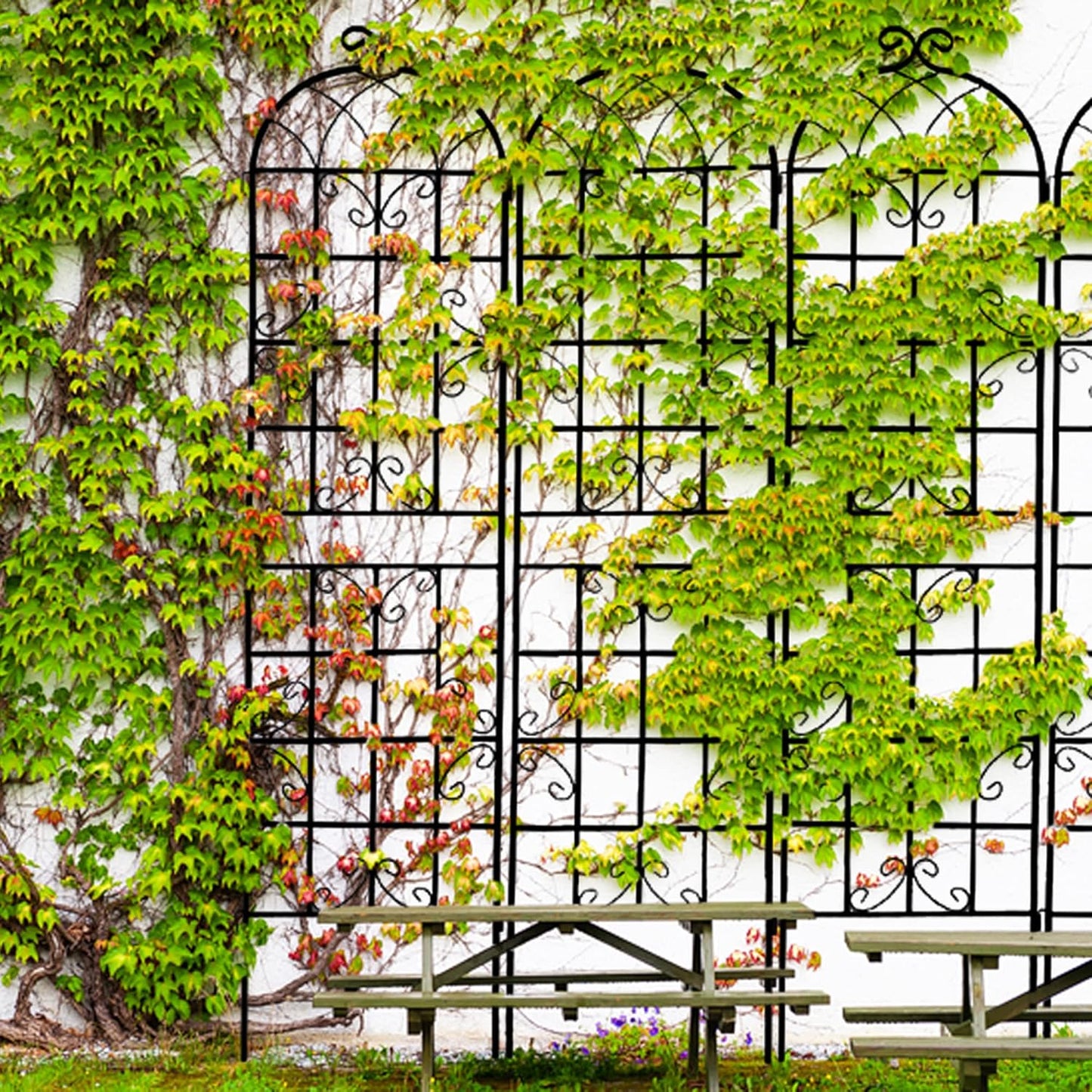 4 Pack Metal Garden Trellis for Climbing Plants, 86.7" Tall Rustproof Outdoor Trellis Panel with Vine Design, Decorative Black Iron Plant Support for Vine, Rose, Flower, Garden Wall