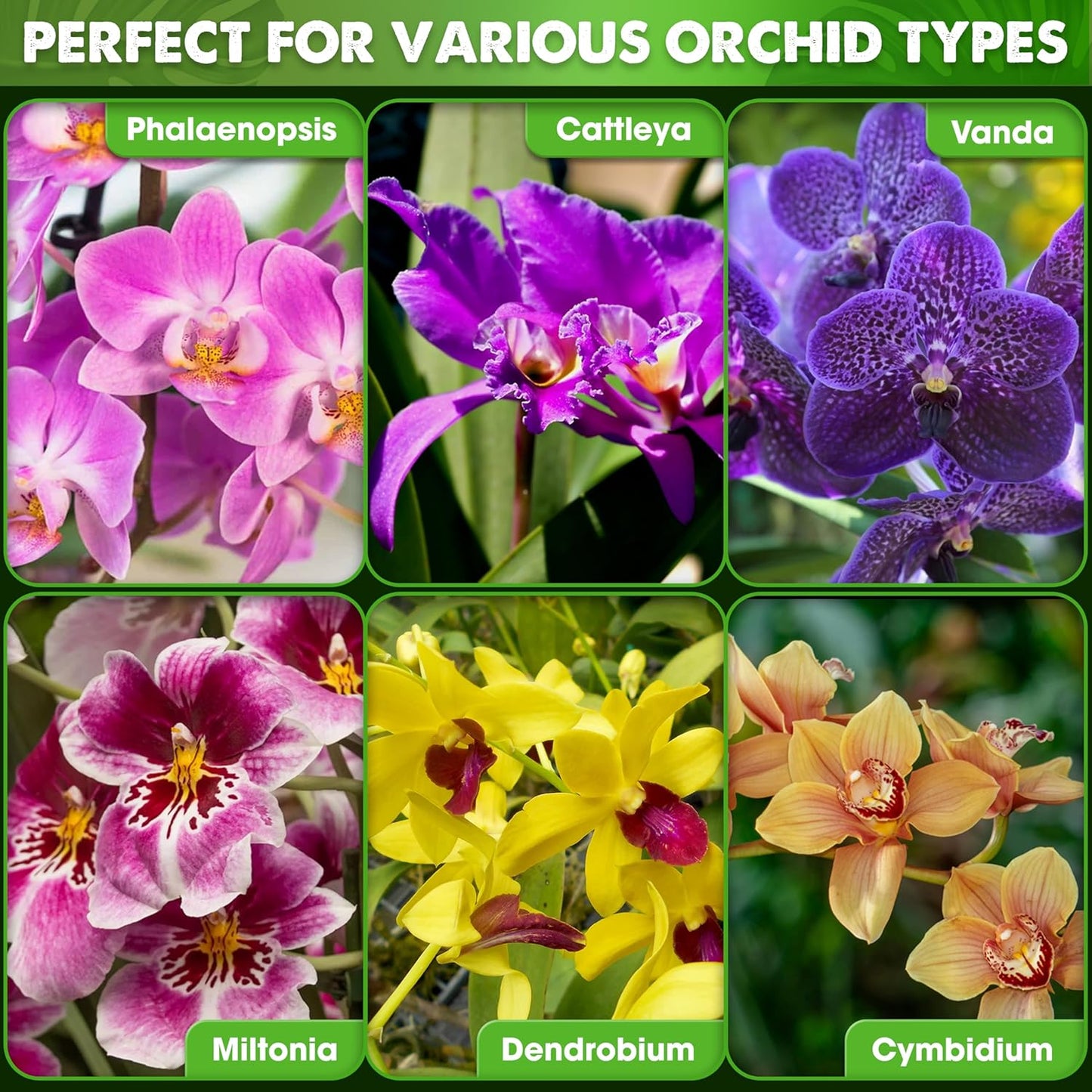 [Upgraded] DUSPRO Orchid Potting Mix for Repotting with Forest Moss, Pine Bark,Perlite & Pumice,Orchid Bark Potting Mix,Orchid Repotting Soil, Drainage Indoor Potting, Orchid Pot Not Included,1 Quart