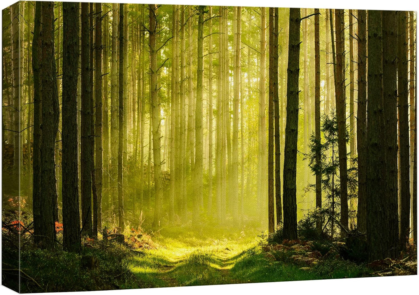 wall26 Canvas Print Wall Art Springtime Summer Sunlight Green Forest Nature Wilderness Photography Realism Earth Scenery Rustic Scenic Landscape Colorful for Living Room, Bedroom, Office - 16"x24"
