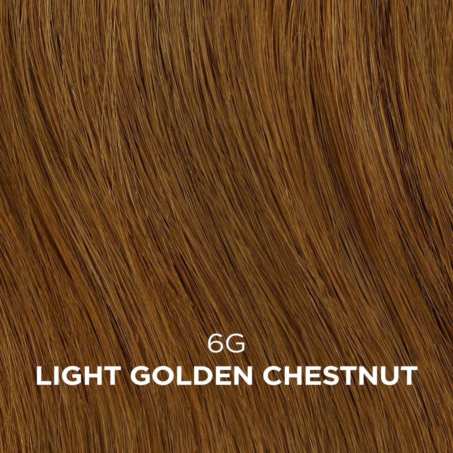 Clairol Professional Beautiful Collection Advanced Gray Solutions, 6G Light Golden Chestnut, 3 oz. - Packaging May Vary