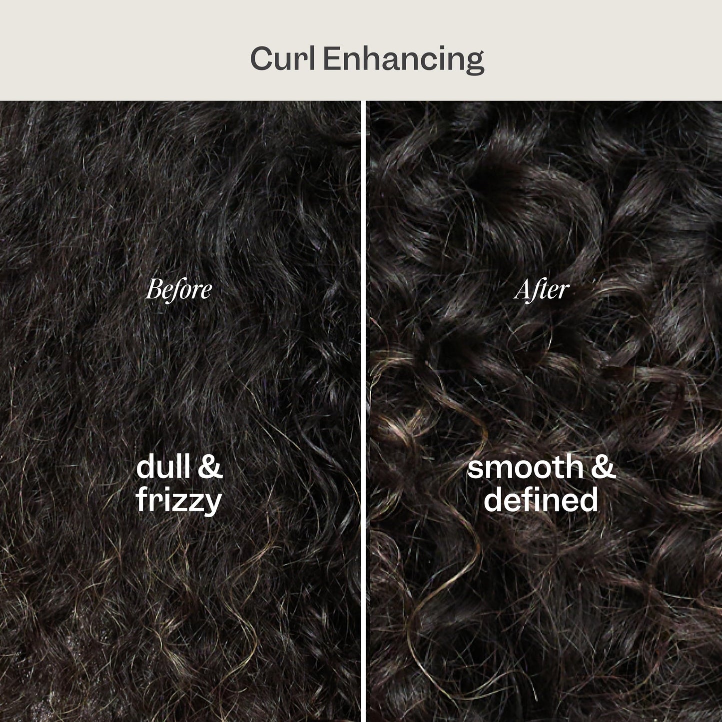Renpure Castor Oil & Moringa Shampoo, Plant-Based - Curl Enhancing - For Moisturized, Manageable & Smooth Curls - With Castor &