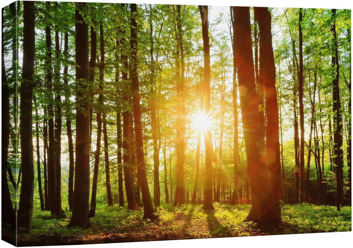 wall26 Canvas Print Wall Art Sunrise Over The Green Forest Nature Wilderness Photography Modern Art Rustic Scenic Colorful for Living Room, Bedroom, Office - 16"x24"