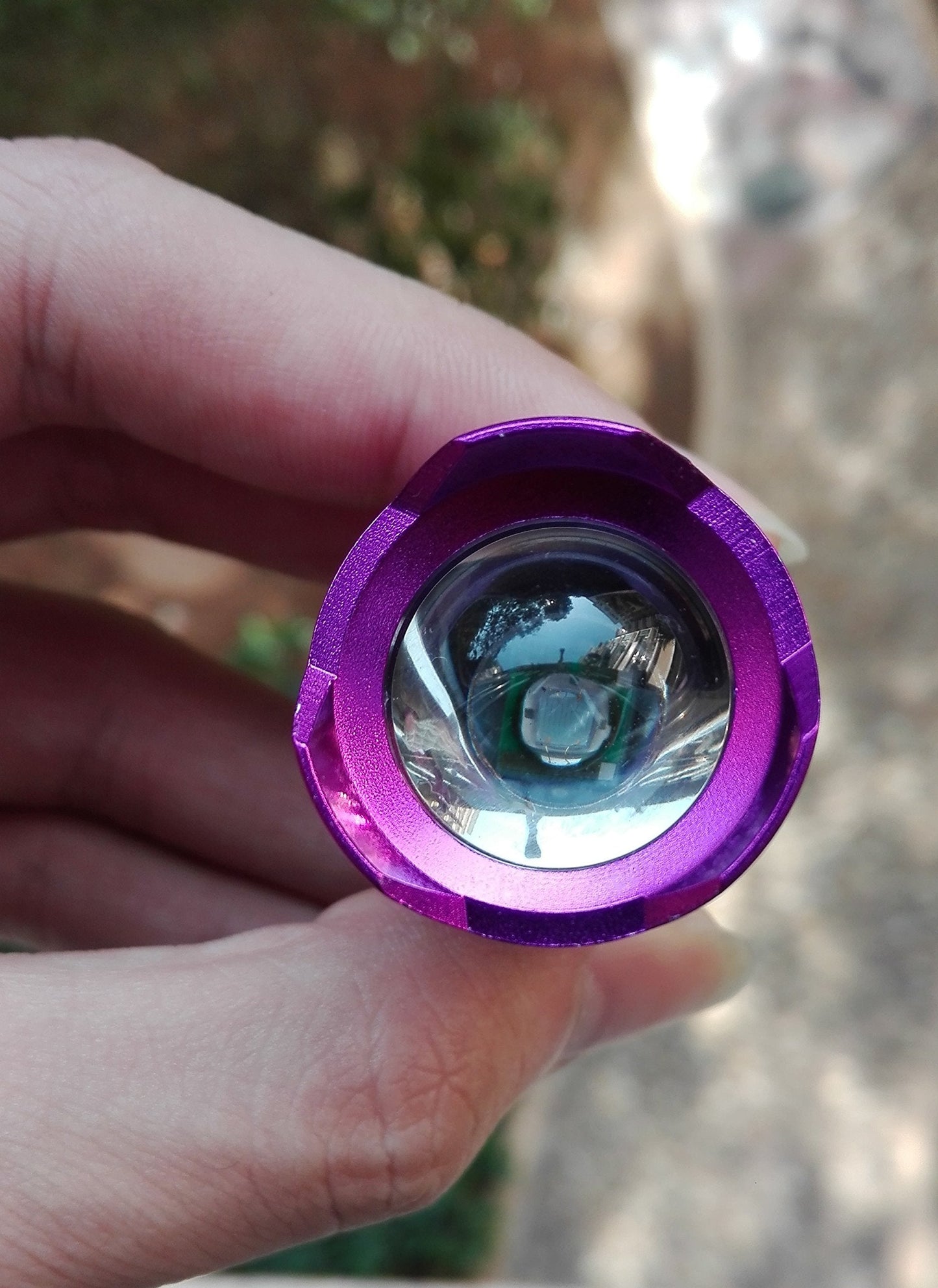 Wayllshine Uv Flashlight - 395Nm High Power Led, 3 Modes, 10 Yard Range, Aluminum, Blacklight For Pet Urine & Stain Detection