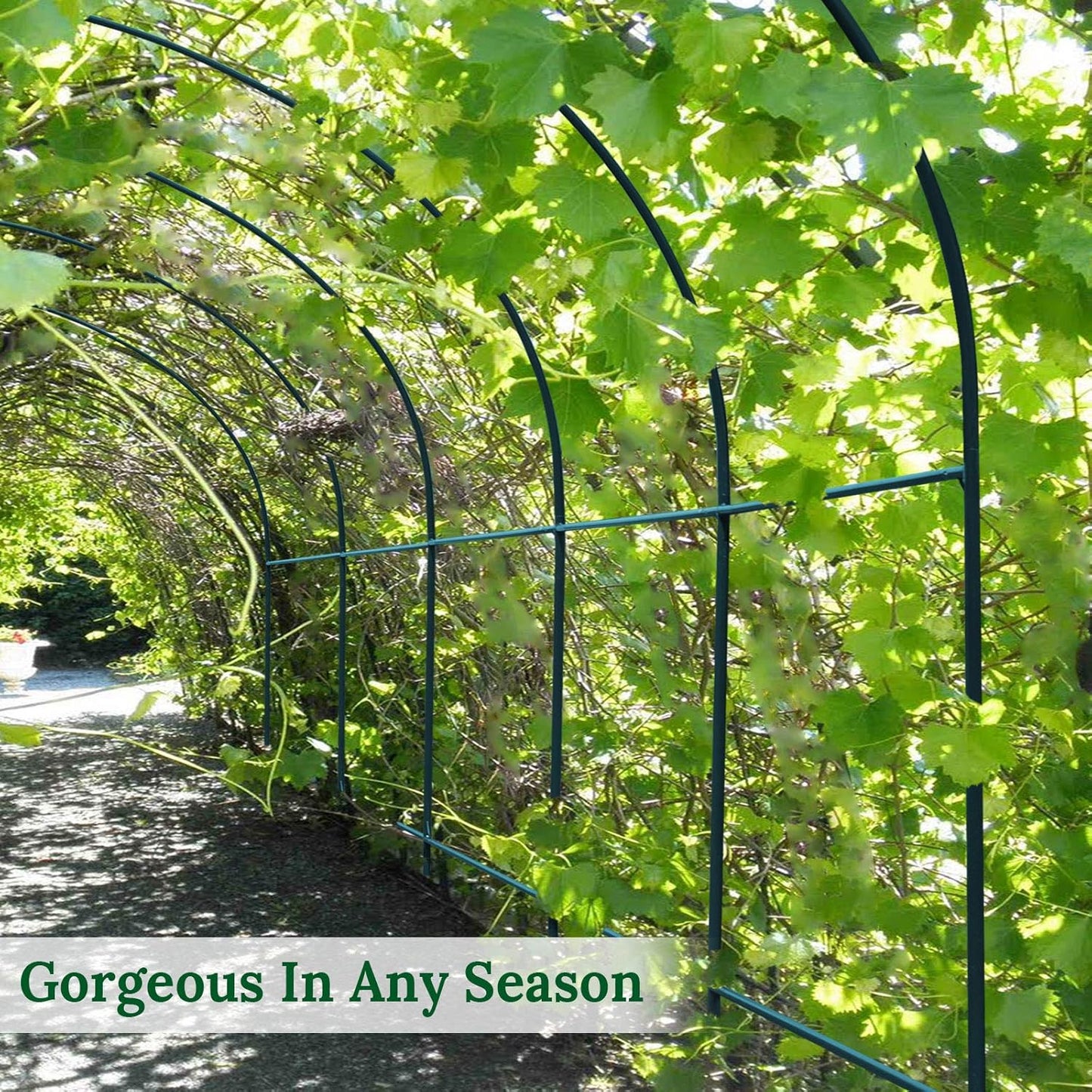 Multi-Size Large Garden Support Arch Frame Climbing Plant Arch Arbor for Flowers/Fruits/Vegetables (19.6ft x 7ft x 7.2ft)