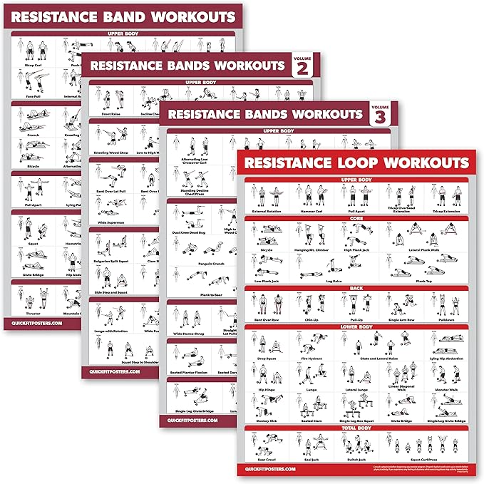 Palace Learning 4 Pack - Resistance Bands Workout Exercise Posters Volume 1, 2 & 3 + Resistance Loops Fitness Chart (LAMIN...