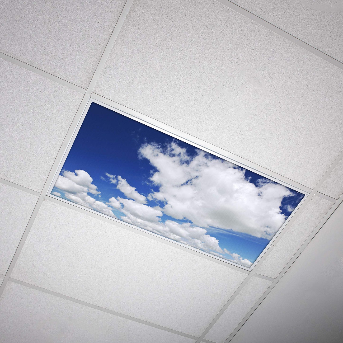 Octo Lights Fluorescent Light Covers 2X4 (22.38In X 46.5In) - Backlit Film, Breathtaking Stratocumulus, Model Cl