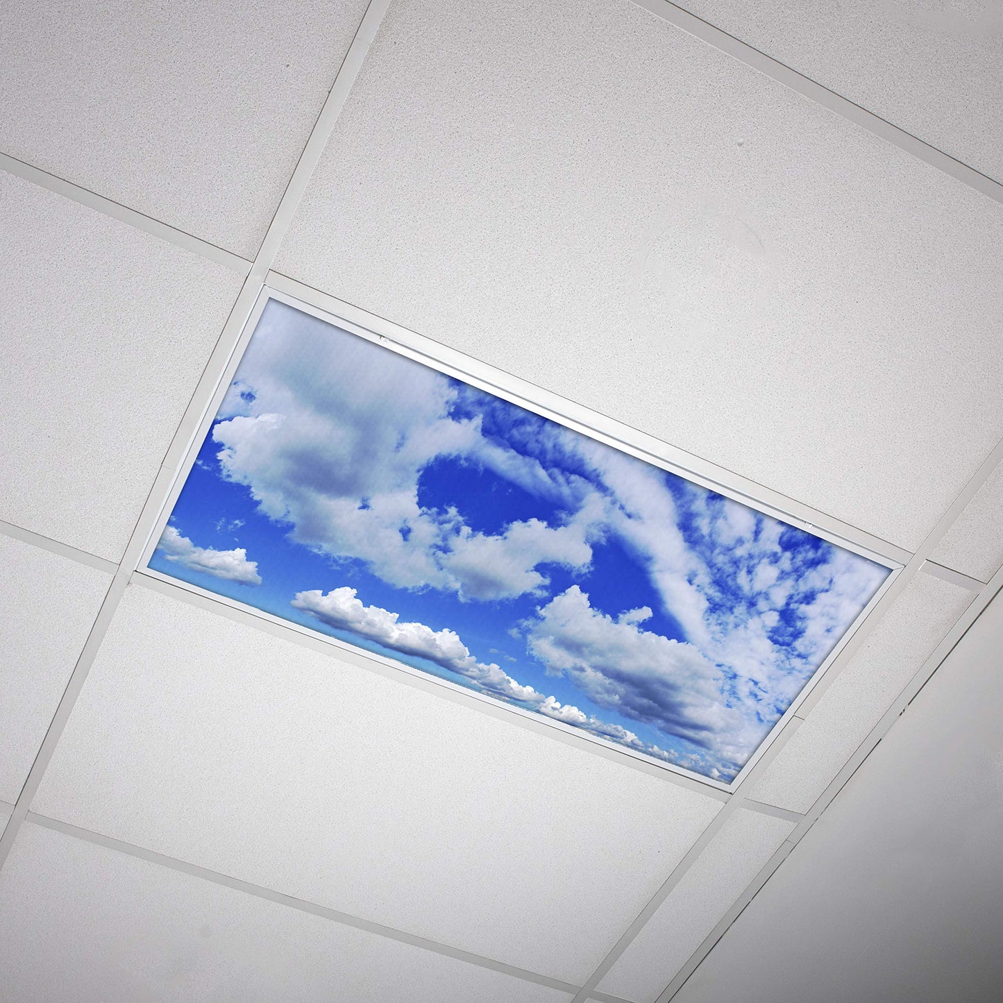 Octo Lights Fluorescent Light Covers - 2X4 Backlit Film, Altocumulus Sunscape, Model Cld-007, Improves Focus & Reduces Headaches