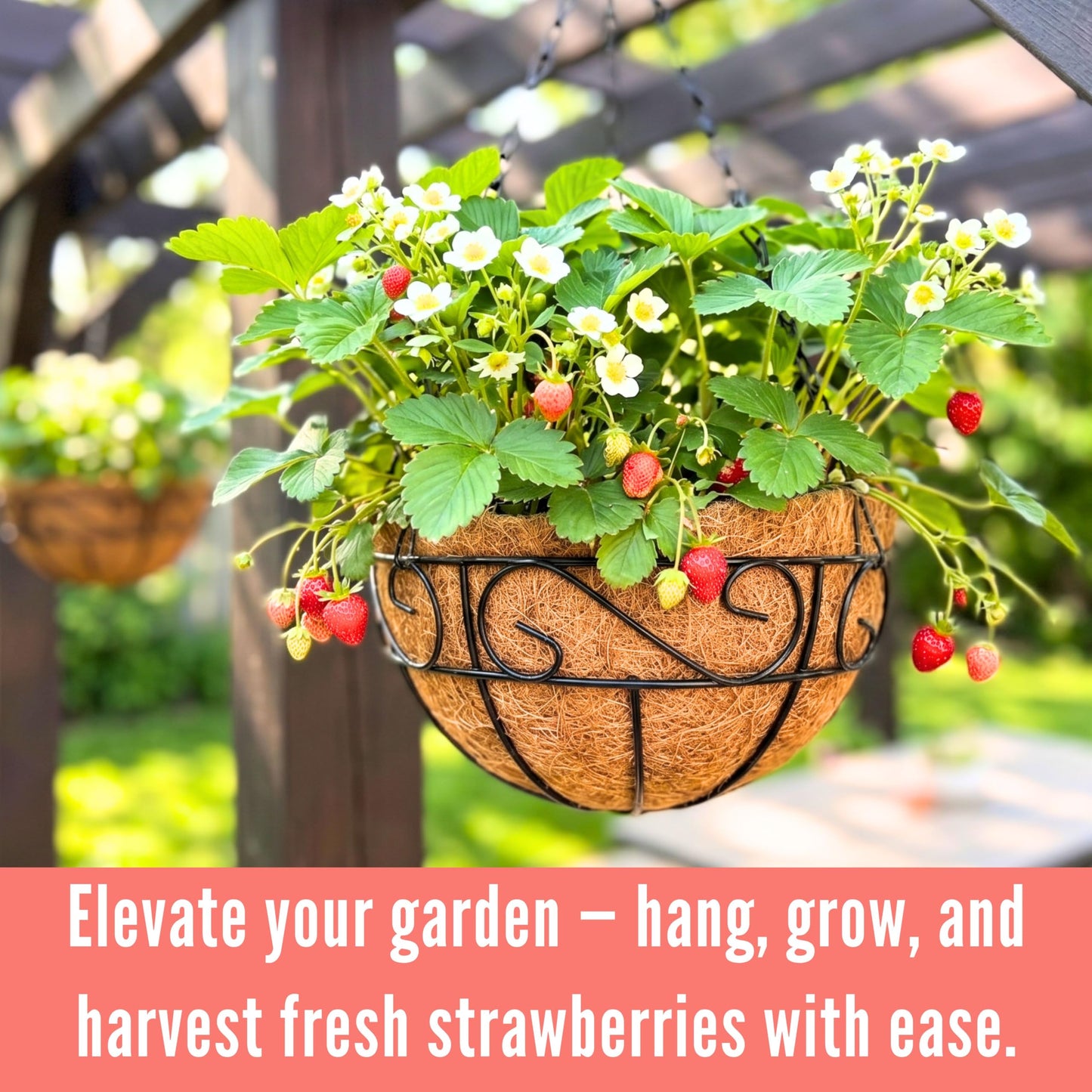 LaLaGreen Hanging Planter for Outdoor Plants (12 Inch, 2 Pack) Hanging Baskets with Coco Liner, Black Metal Wire Flower Basket Pots with Hook Hanger Balcony Porch Farmhouse Country Style Garden Decor