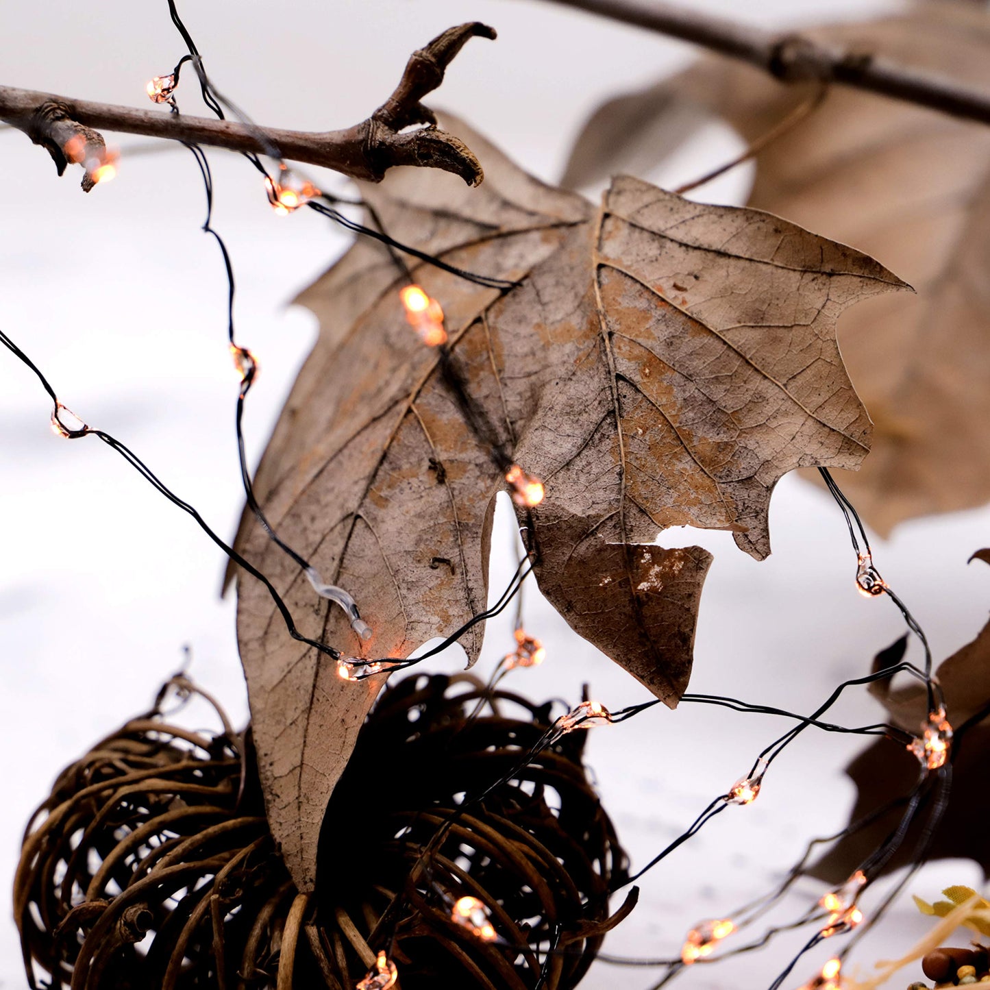 Miya Life Nature Rattan Pumpkin String Lights Fall Garland With Lights Battery Operated With Remote - Perfect Thanksgiving Halloween Fall Decorations (Orange Fairy)