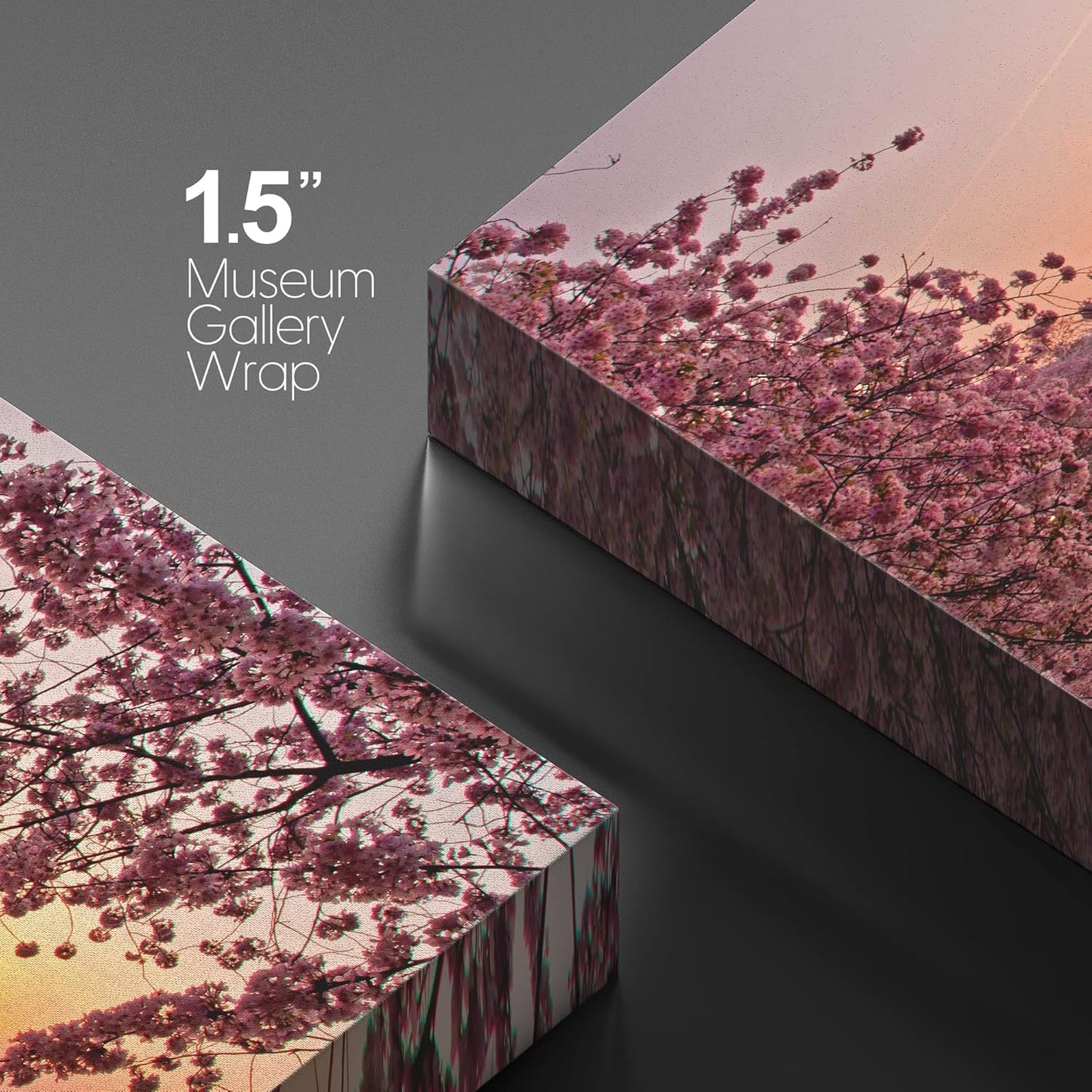 Canvas Prints Wall Art - Cherry Blossom Festival at The National Mall Washington, DC | Modern Wall Decor/Home Art Stretched Gallery Wraps Giclee Print & Wood Framed. Ready to Hang - 32" x 48"