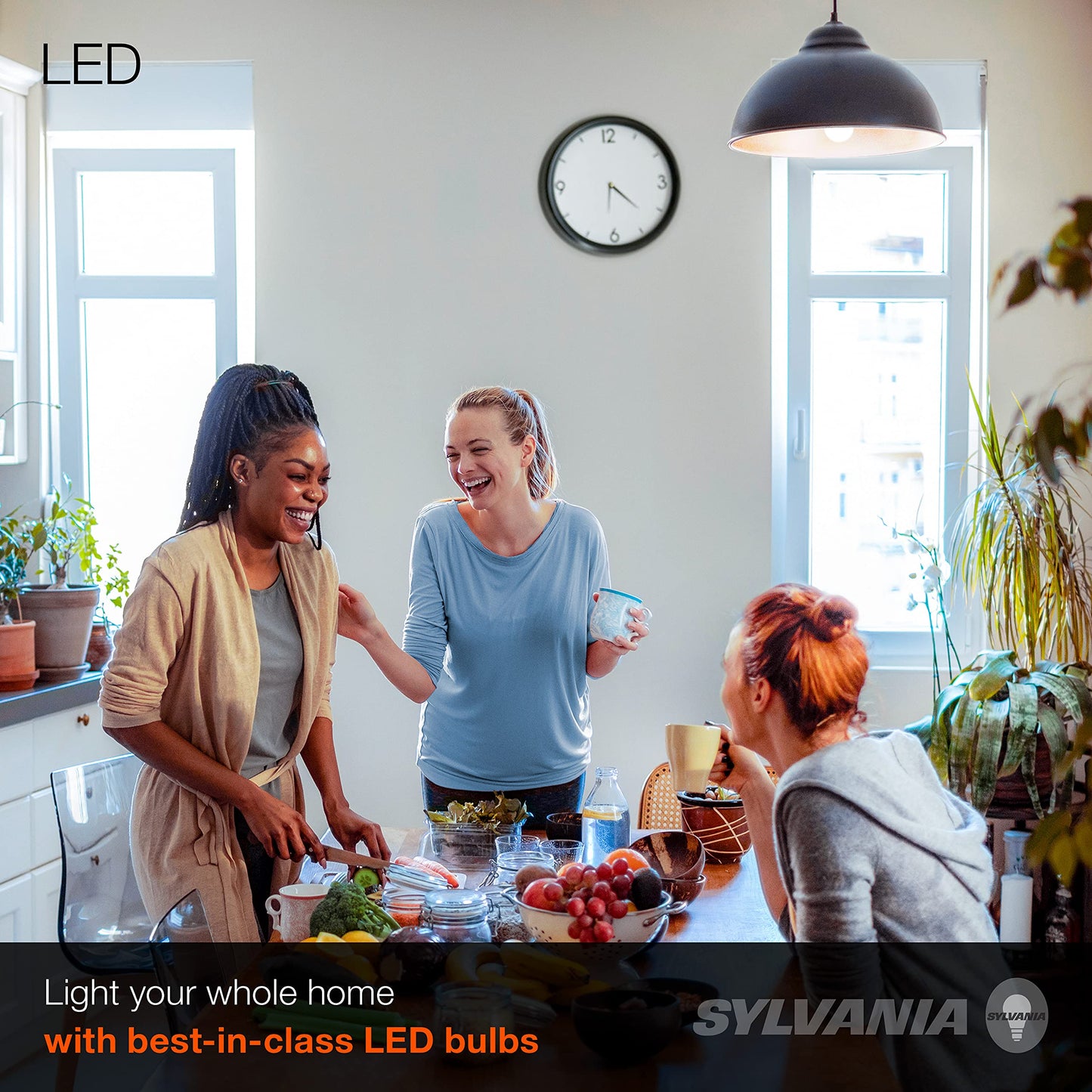 Ledvance Sylvania 60W Equivalent A19 Led Light Bulb, 8.5W, Daylight, Frosted Finish, 800 Lumens, 1 Pack (Model