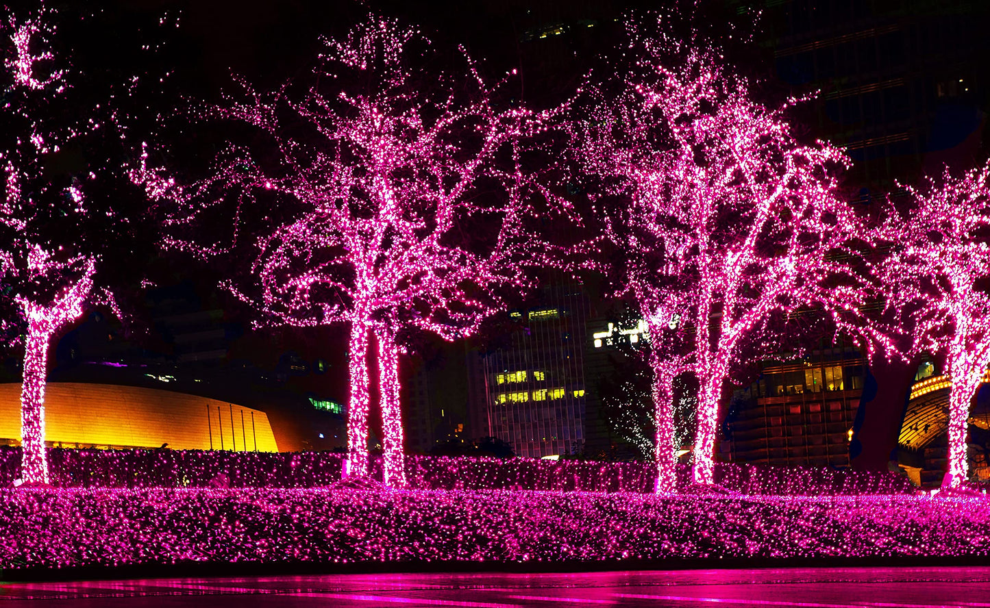 612 Vermont Pink Christmas Lights, 18 Lighted Length, UL Approved, Indoor/Outdoor, Model LHS100-2(0.34)-LHM