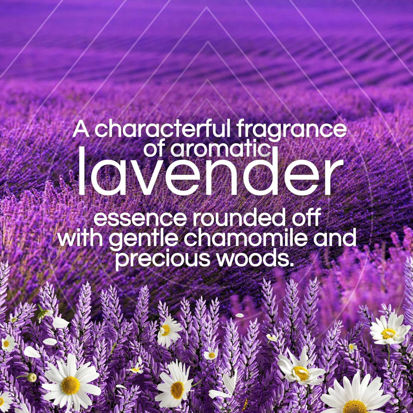 Air Wick Scented Oils 0+5 Lavender & Chamomile