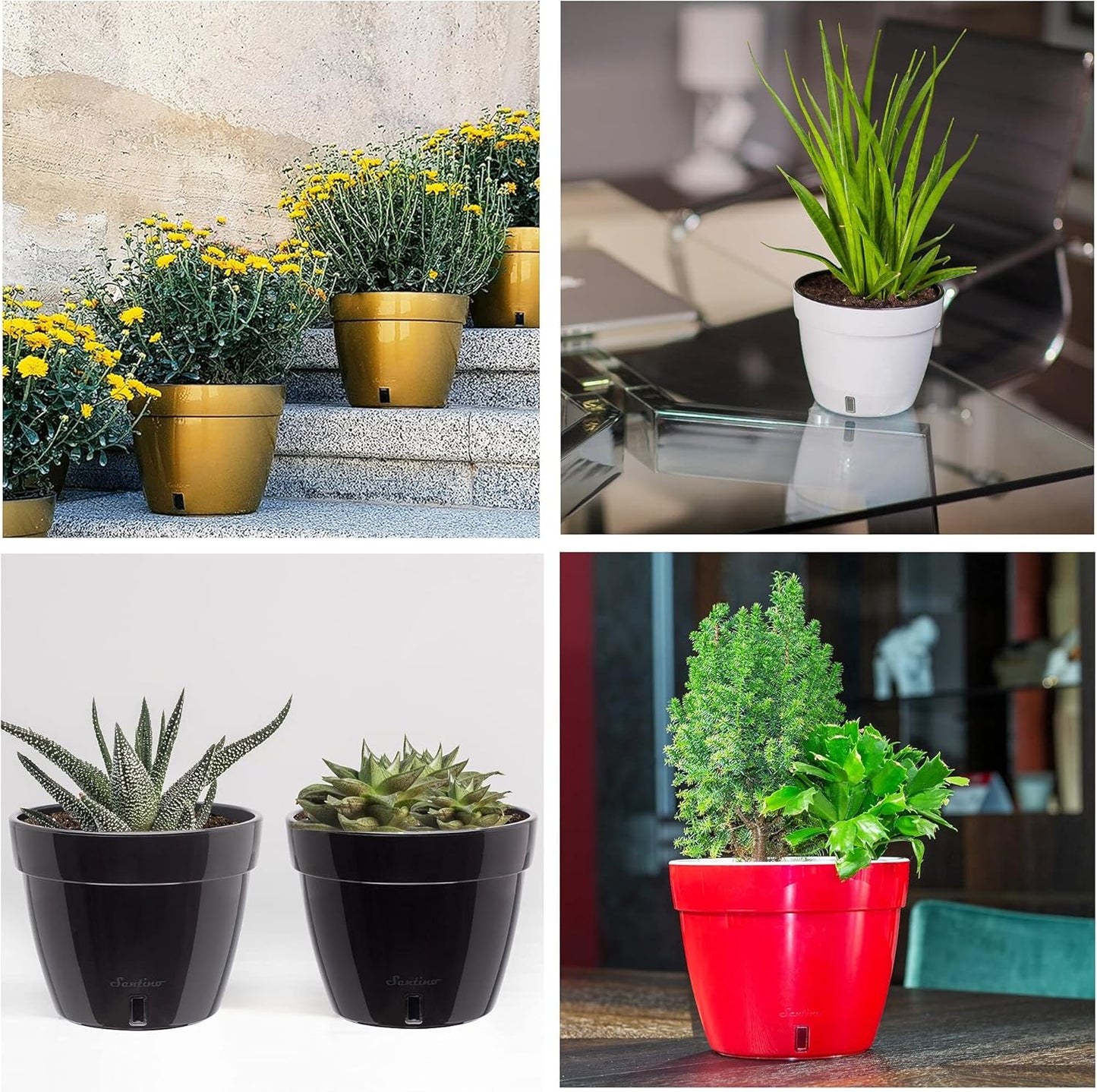 Santino ASTI 10.6 Inch Self Watering Planter Black-Gold/Black (Set of 3) for Indoor Plants - Premium Quality Modern Plastic Pot w/Water Level Indicator for House Plants, African Violets and Dahlias