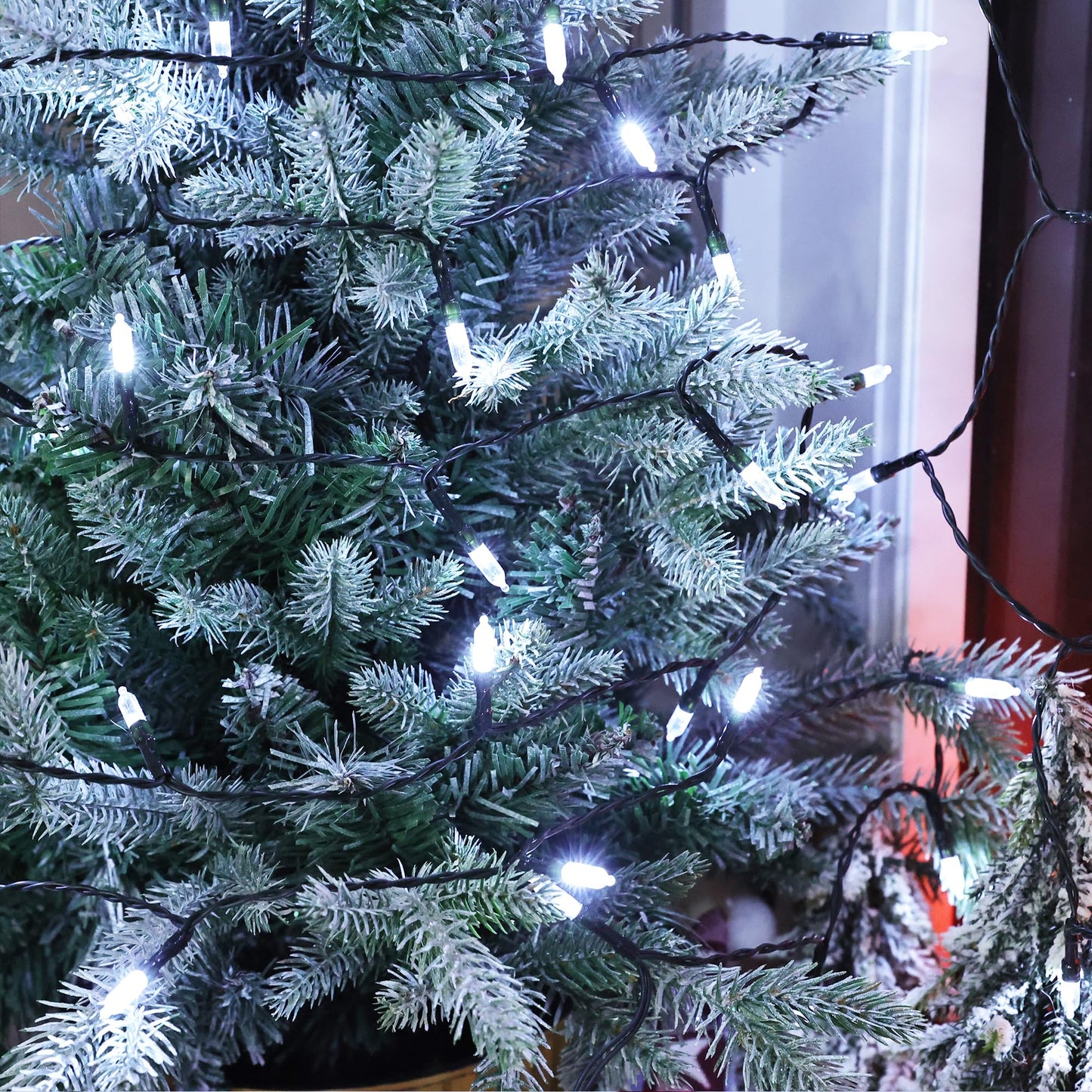 Lomotech Battery Operated Christmas Lights - 2 Pack Total 16Ft 50Leds Battery Mini String Lights With Timer For Home  Garden  Party  Holiday  Tree Decoration (Green Wire  White)